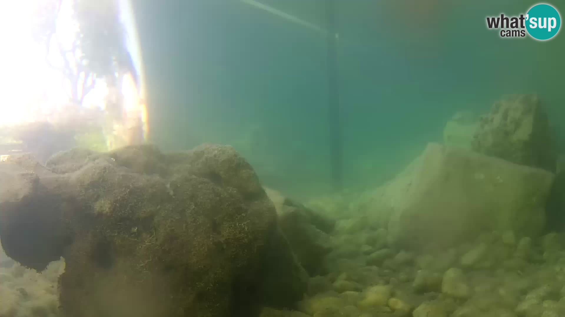Marine Aquarium im Freien Rogoznica webcam Kroatien