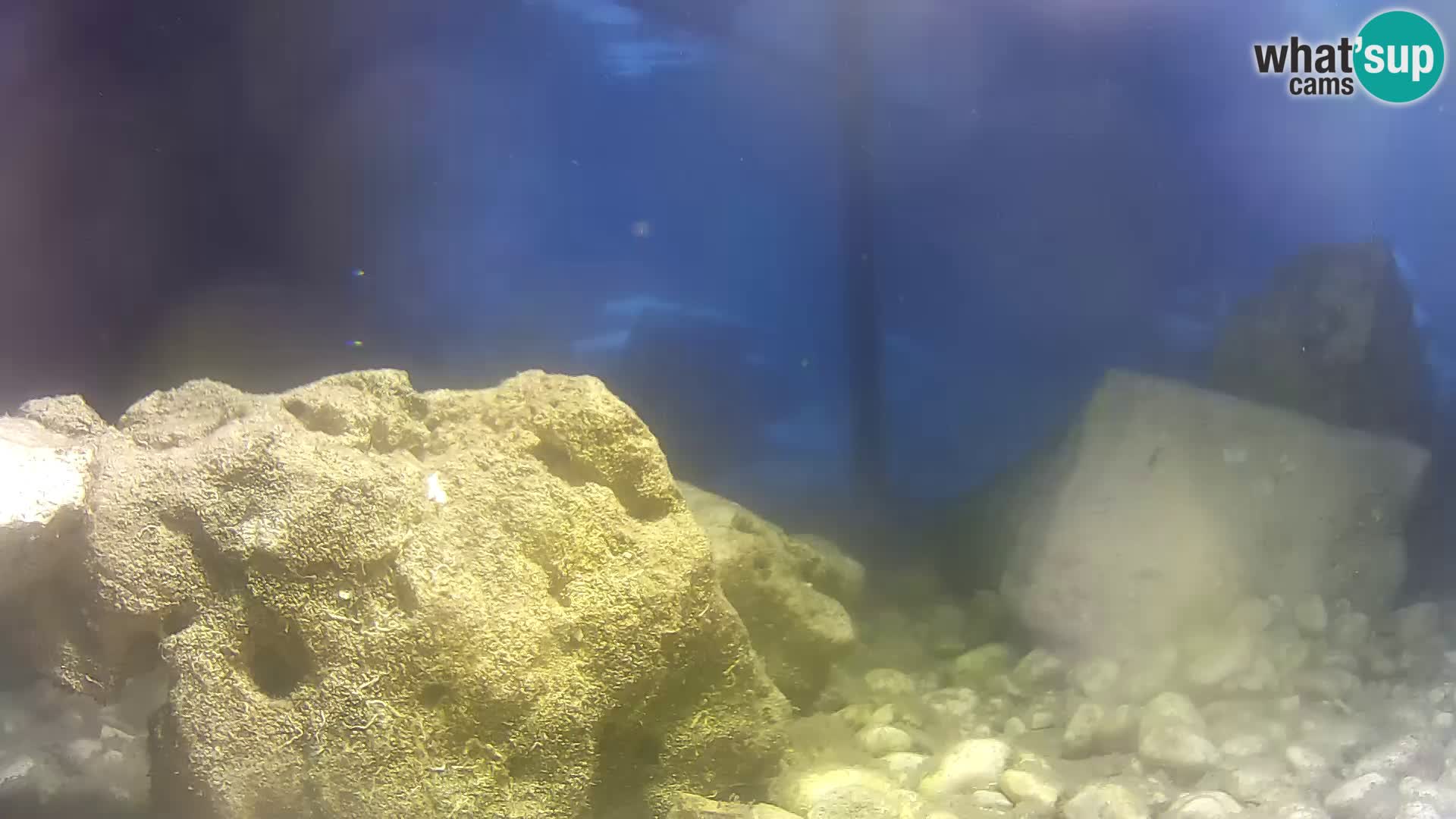 Webcam de l’aquarium marin extérieur de Rogoznica Croatie