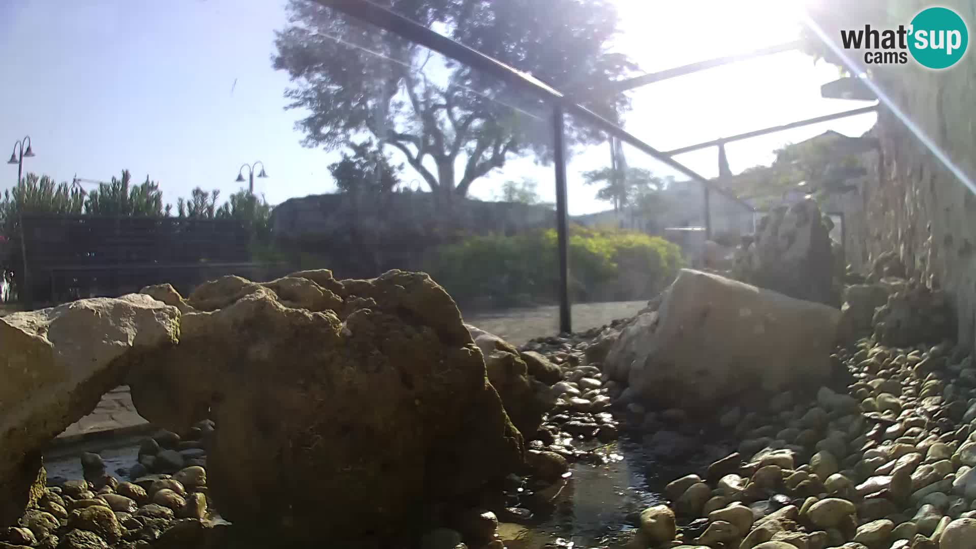 Aquario marino esterno –  Rogoznica livecam Croazia