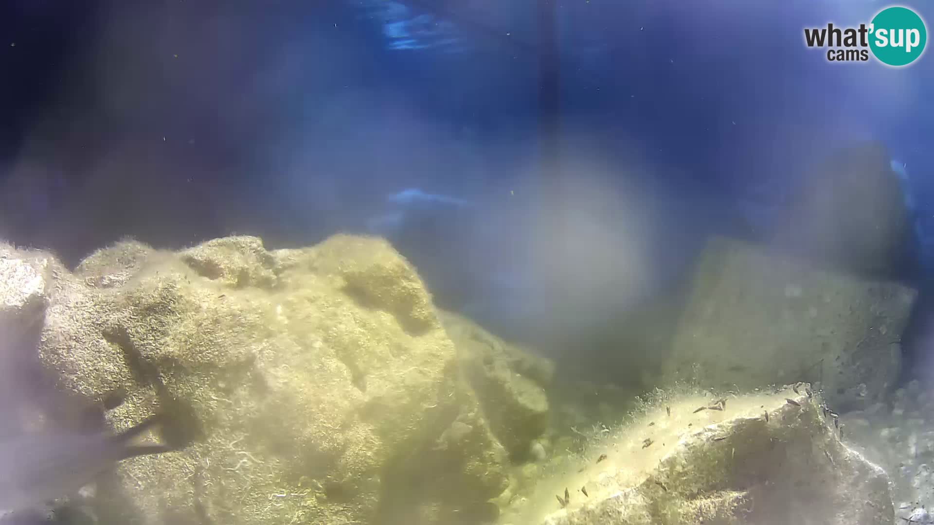 Outdoor Marine Aquarium Rogoznica webcam Croatia