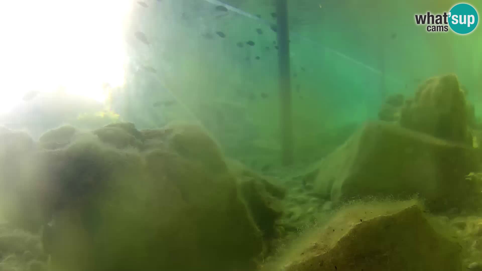 Webcam de l’aquarium marin extérieur de Rogoznica Croatie