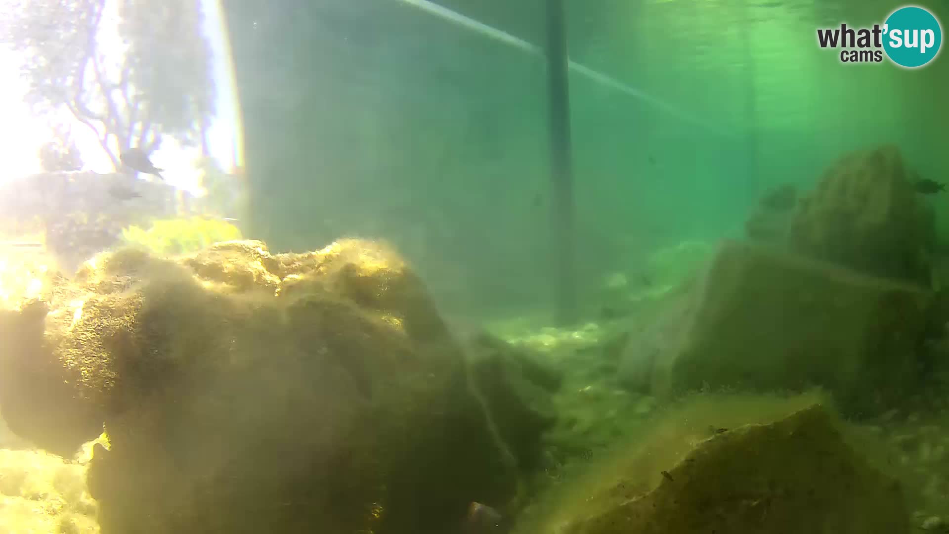 Unterwasserkamera Brijuni – Čamčarnica