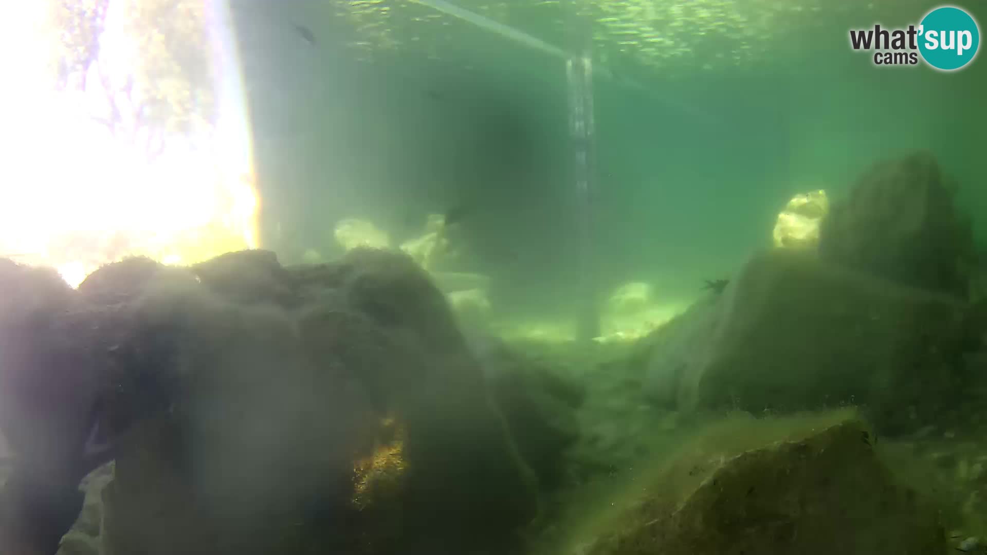 Marine Aquarium im Freien Rogoznica webcam Kroatien