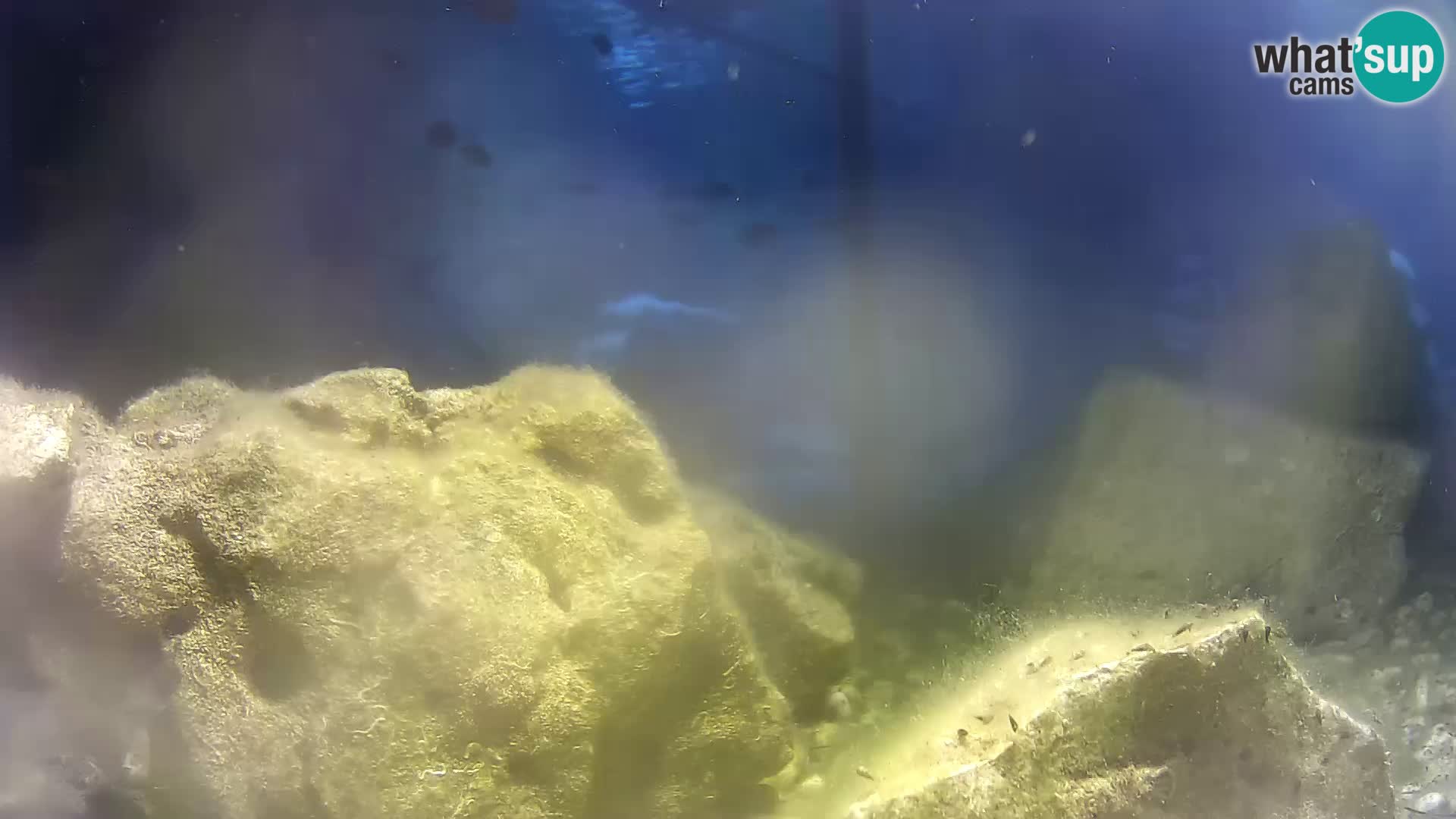 Outdoor Marine Aquarium Rogoznica webcam Croatia
