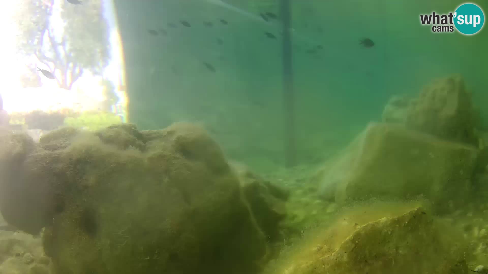 Outdoor Marine Aquarium Rogoznica webcam Croatia