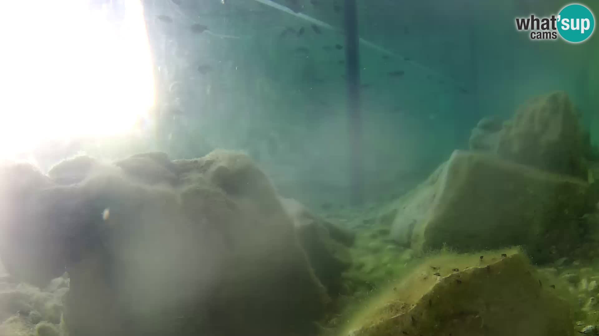 Outdoor Marine Aquarium Rogoznica webcam Croatia