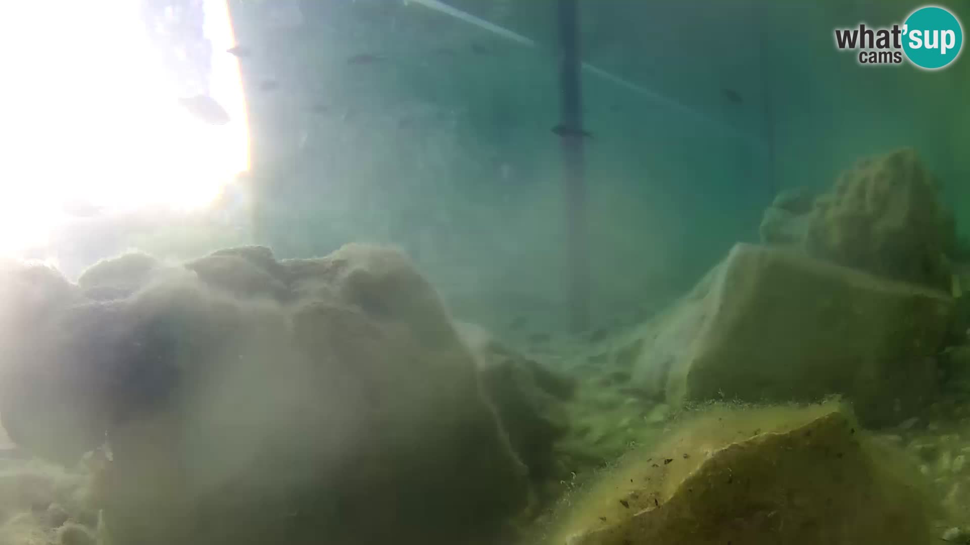 Webcam de l’aquarium marin extérieur de Rogoznica Croatie