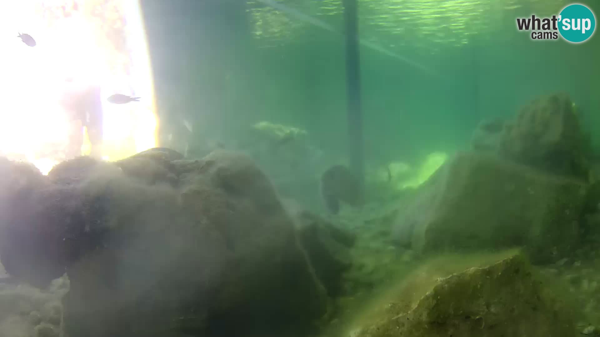 Outdoor Marine Aquarium Rogoznica webcam Croatia