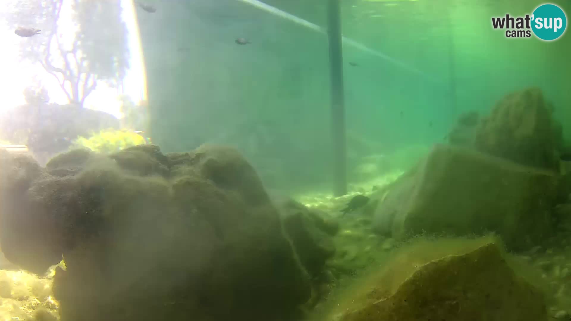 Marine Aquarium im Freien Rogoznica webcam Kroatien