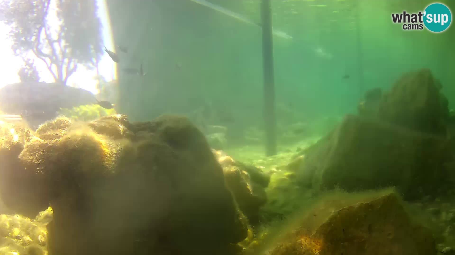 Marine Aquarium im Freien Rogoznica webcam Kroatien