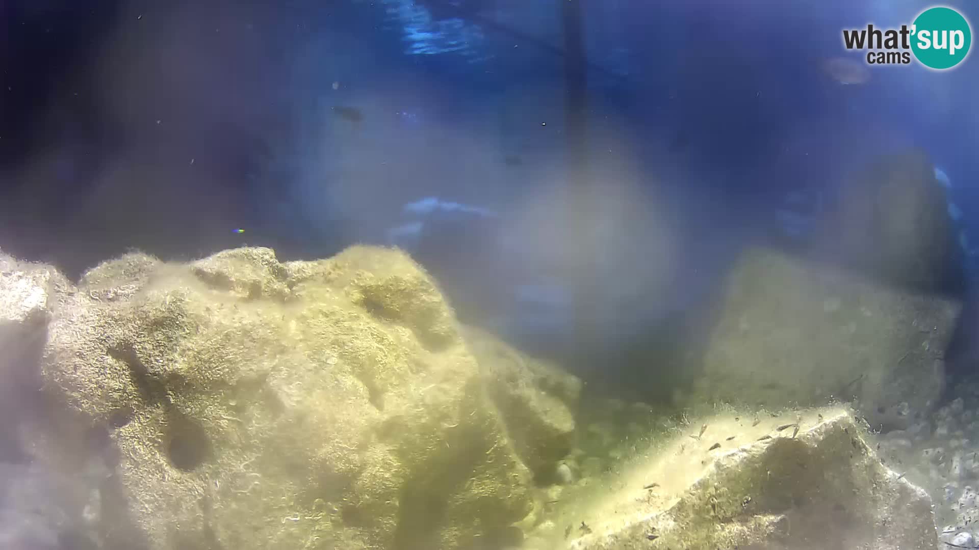 Outdoor Marine Aquarium Rogoznica webcam Croatia