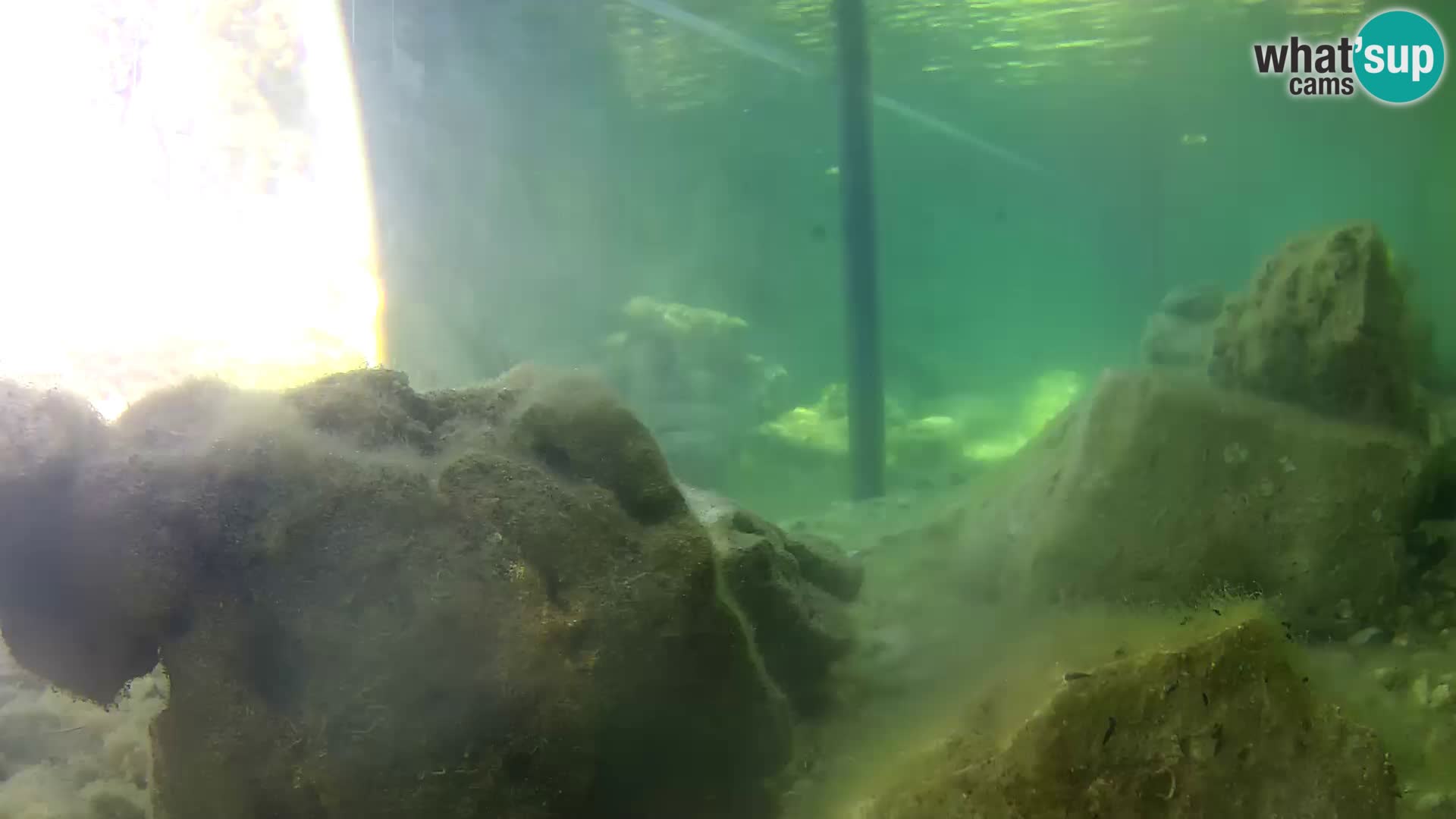 Outdoor Marine Aquarium Rogoznica webcam Croatia