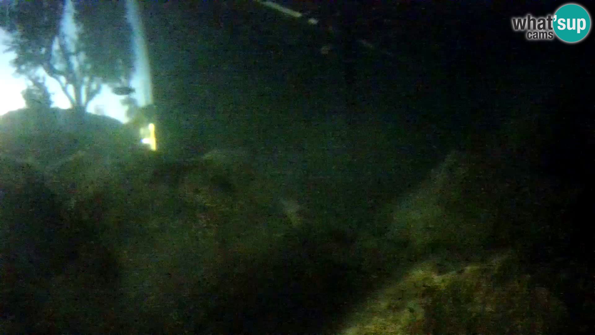 Marine Aquarium im Freien Rogoznica webcam Kroatien
