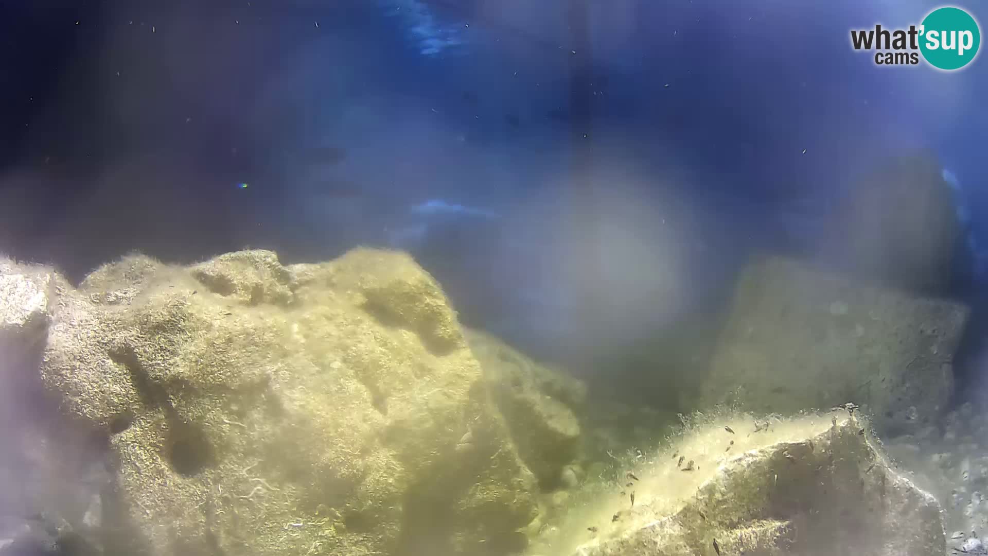 Webcam de l’aquarium marin extérieur de Rogoznica Croatie