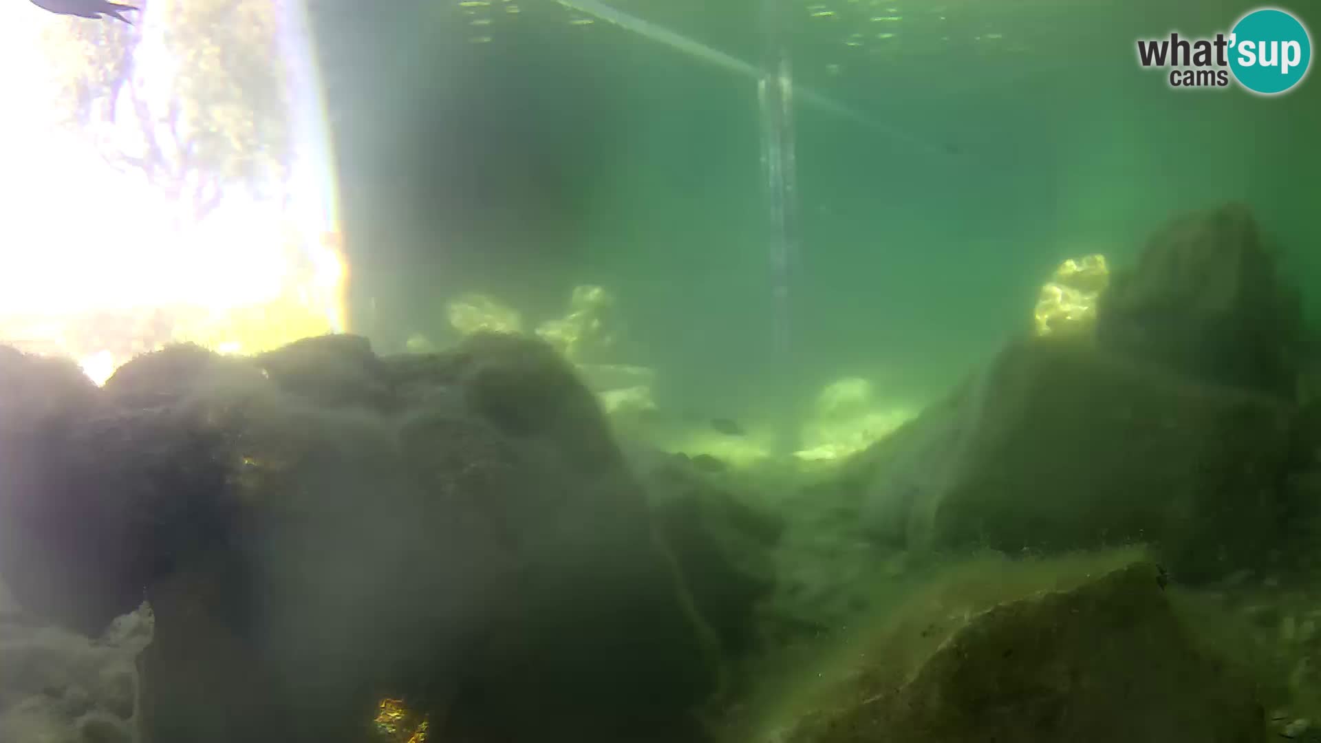 Aquario marino esterno –  Rogoznica livecam Croazia