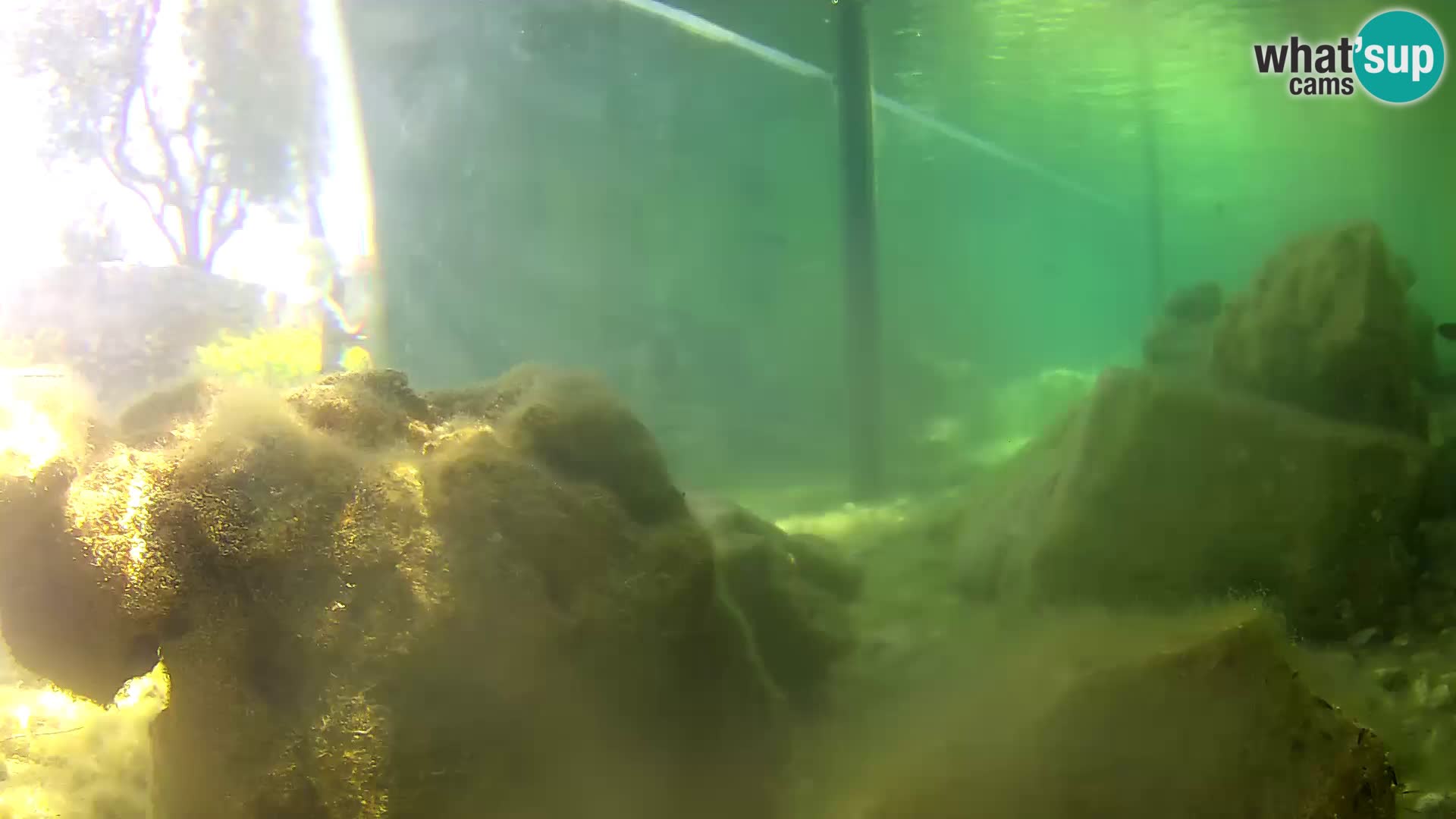 Webcam de l’aquarium marin extérieur de Rogoznica Croatie