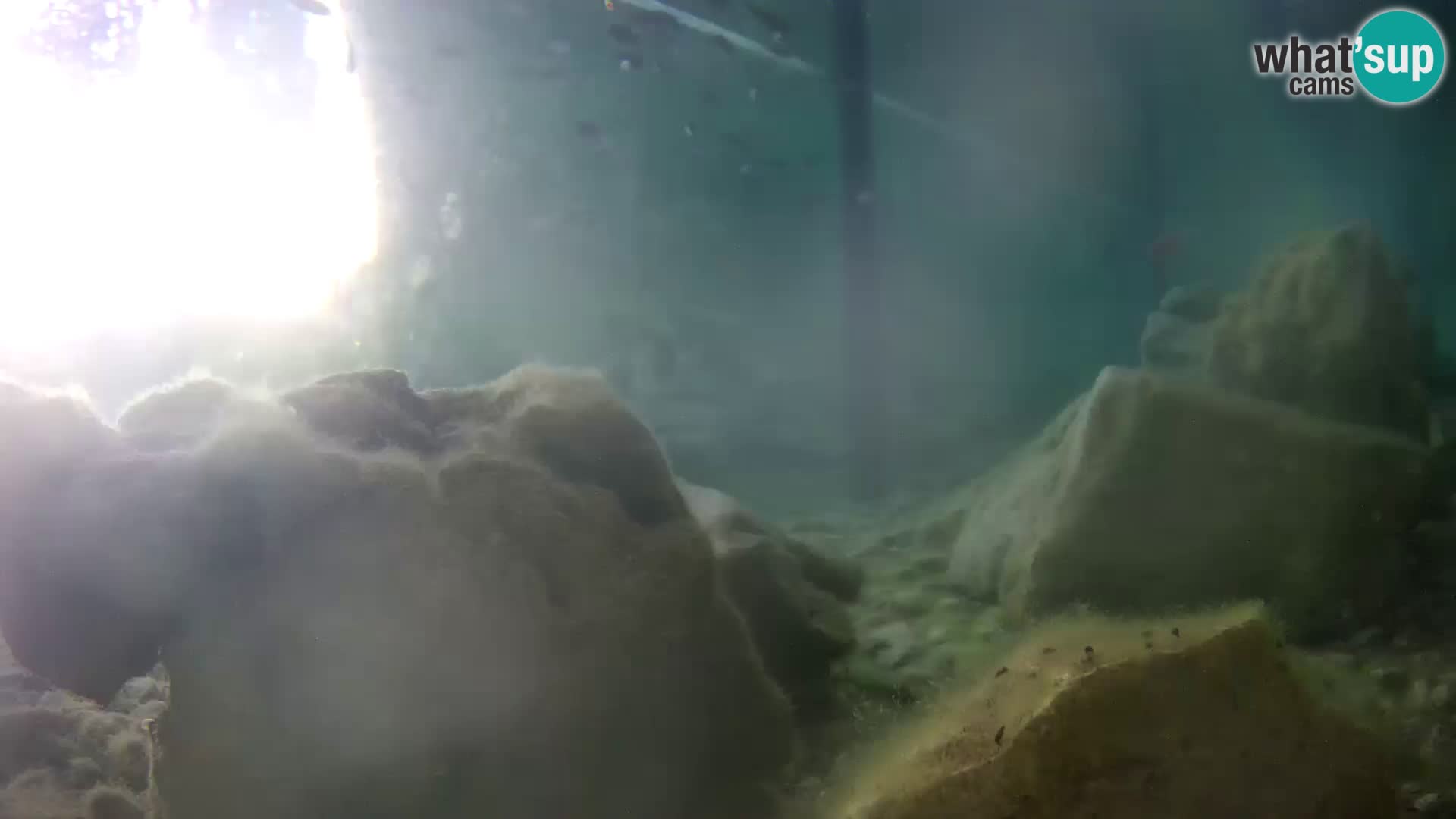 Outdoor Marine Aquarium Rogoznica webcam Croatia