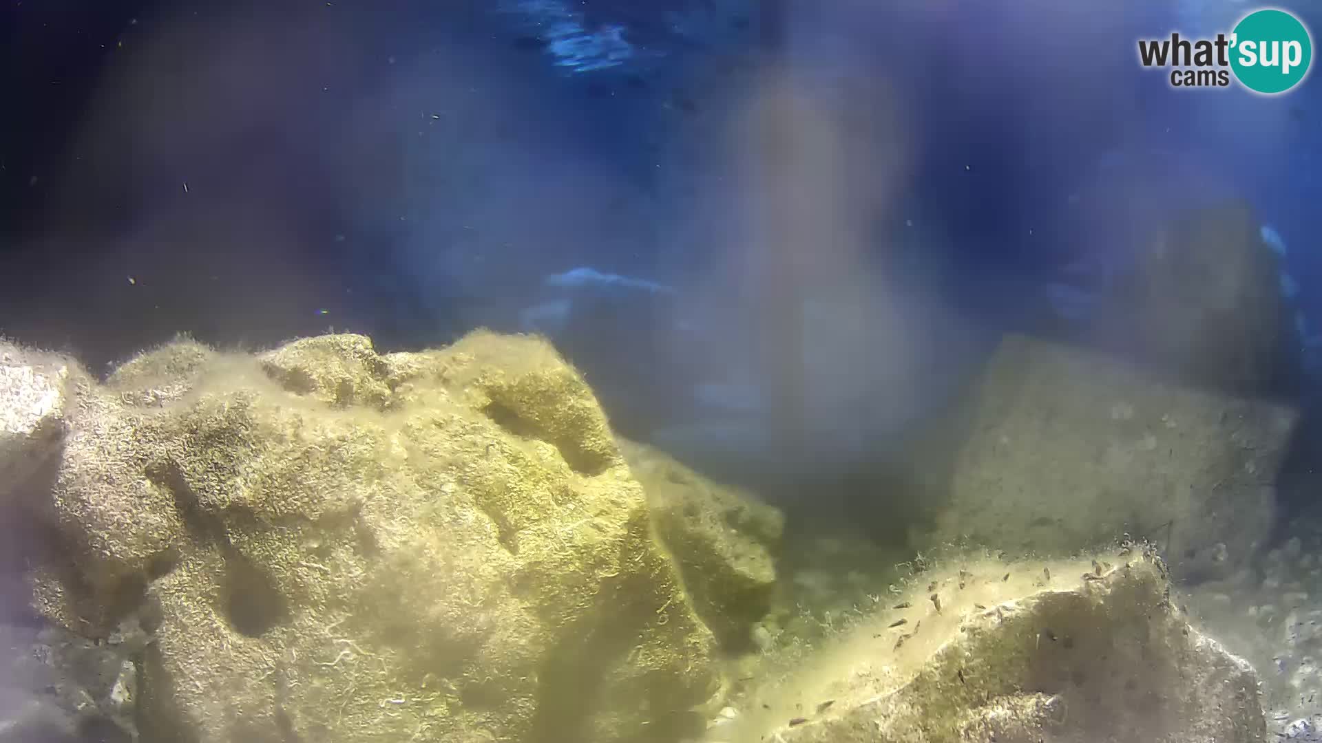 Outdoor Marine Aquarium Rogoznica webcam Croatia