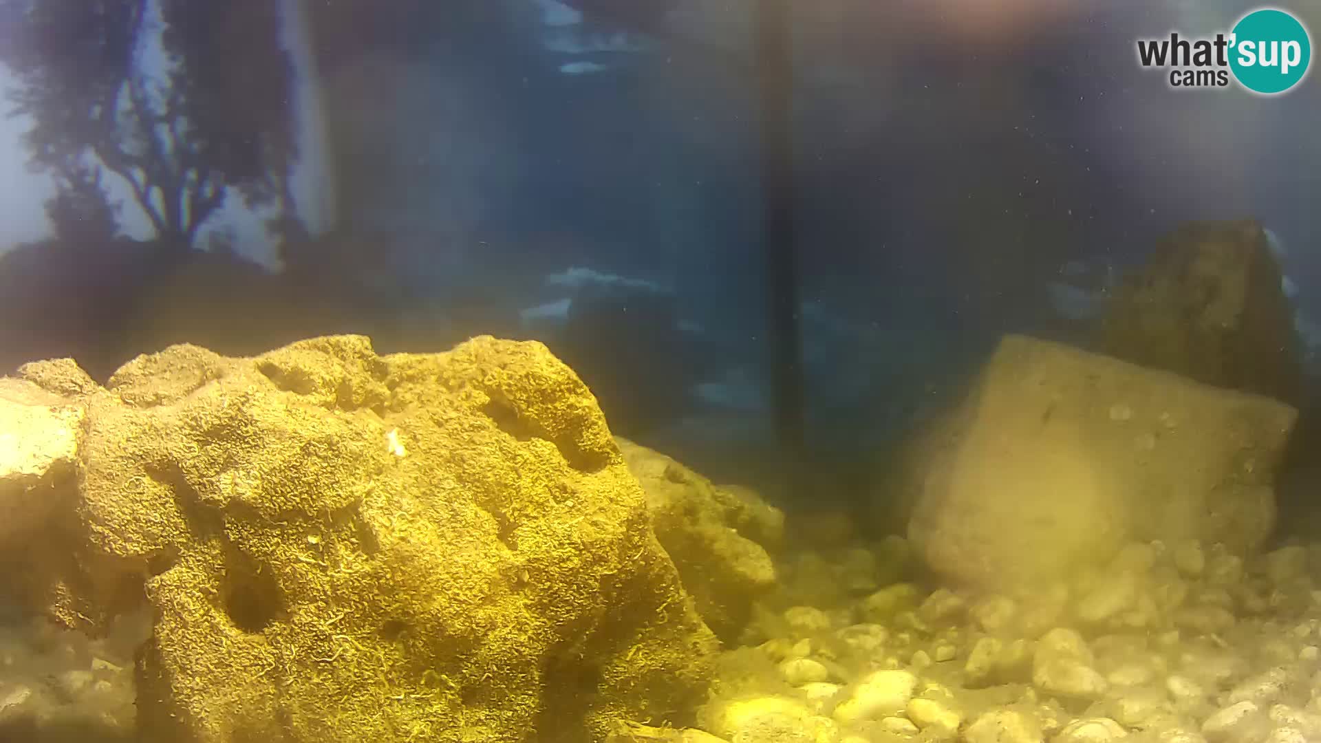 Outdoor Marine Aquarium Rogoznica webcam Croatia