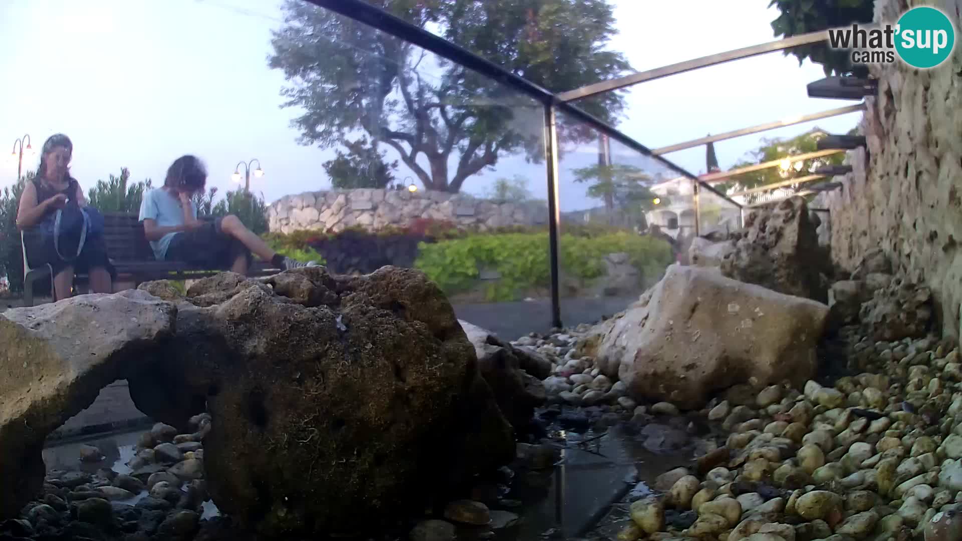 Aquario marino esterno –  Rogoznica livecam Croazia