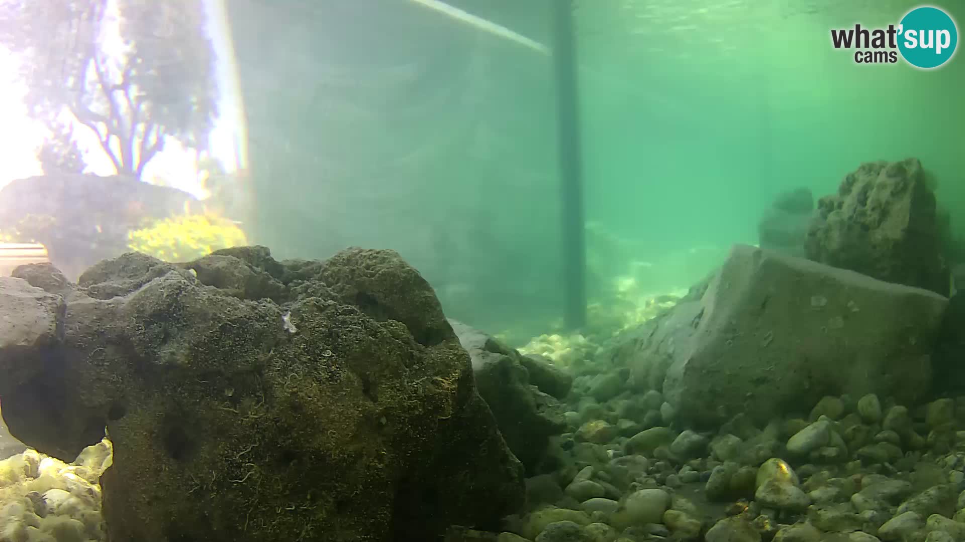 Marine Aquarium im Freien Rogoznica webcam Kroatien