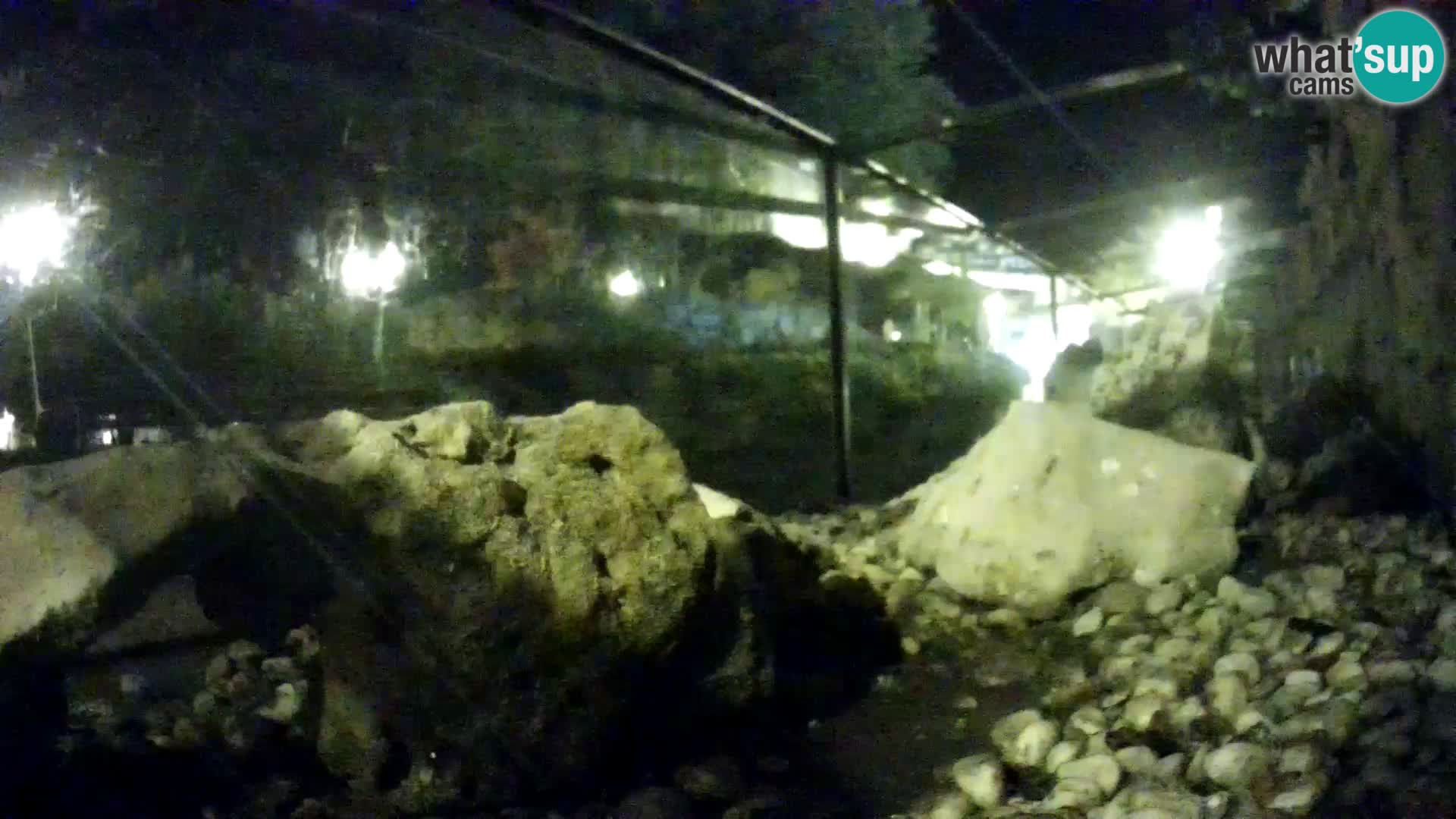 Marine Aquarium im Freien Rogoznica webcam Kroatien