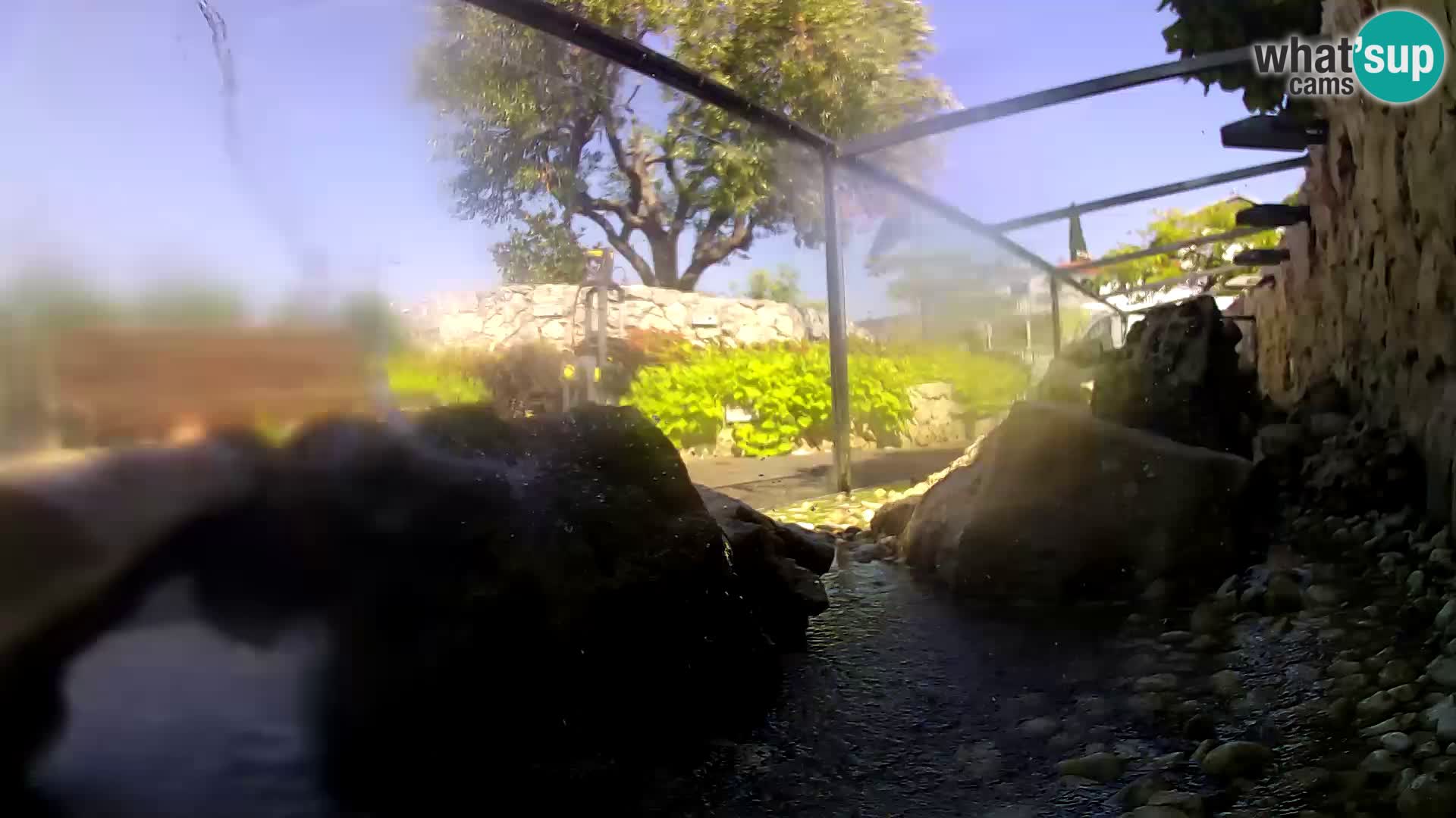 Acuario marino al aire libre Rogoznica webcam Croacia