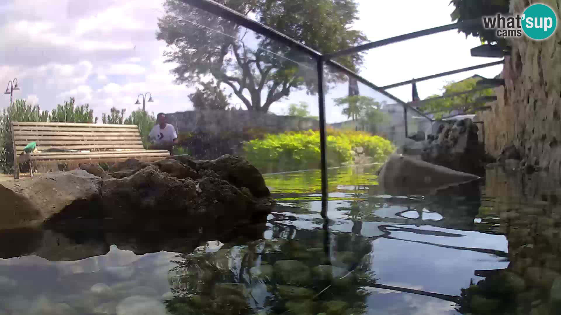 Outdoor Marine Aquarium Rogoznica webcam Croatia