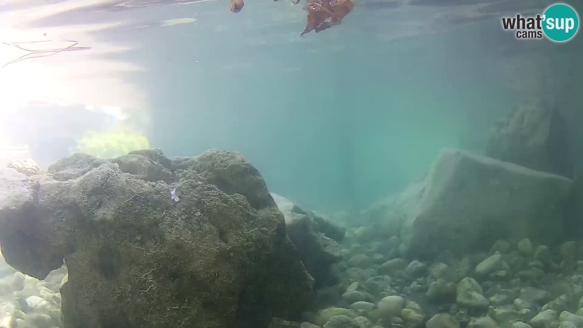 Marine Aquarium im Freien Rogoznica webcam Kroatien