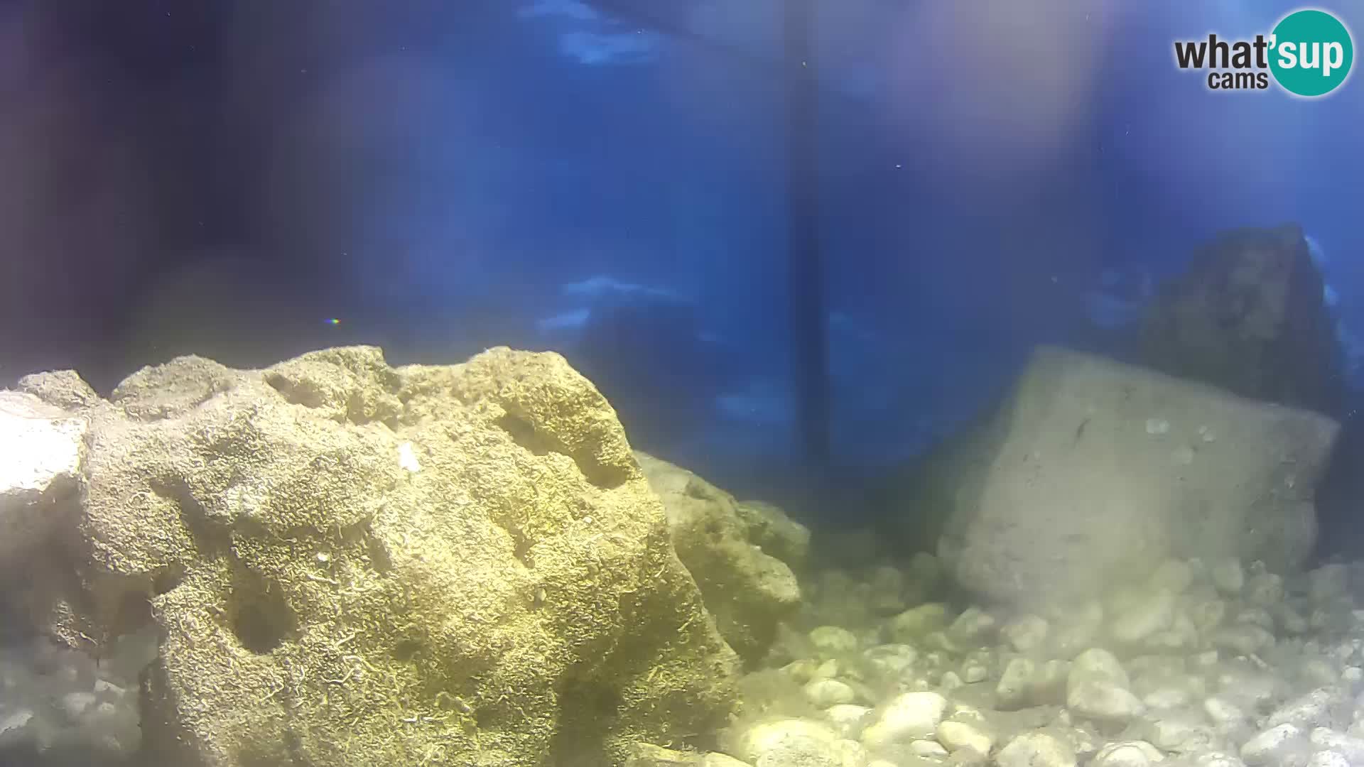 Marine Aquarium im Freien Rogoznica webcam Kroatien
