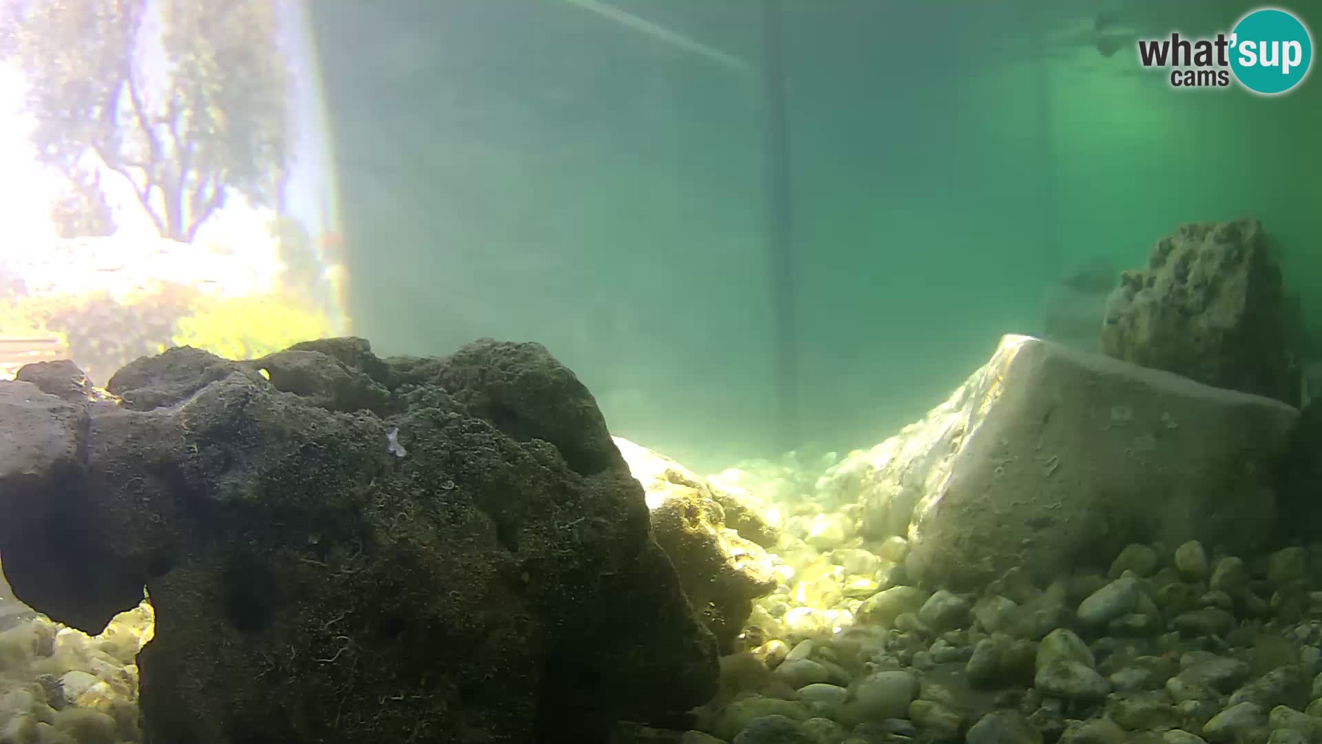 Outdoor Marine Aquarium Rogoznica webcam Croatia