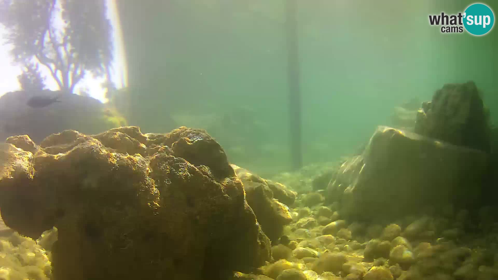 Marine Aquarium im Freien Rogoznica webcam Kroatien