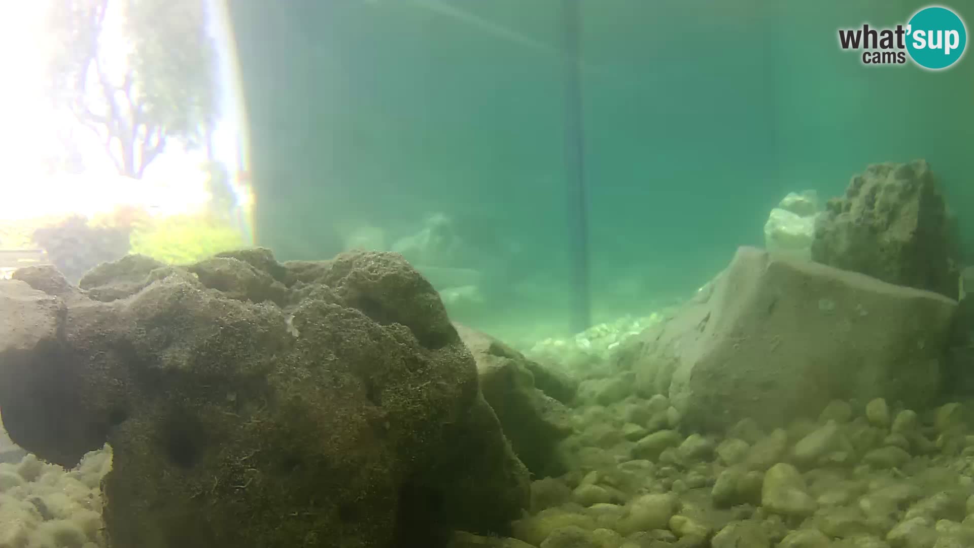 Webcam de l’aquarium marin extérieur de Rogoznica Croatie