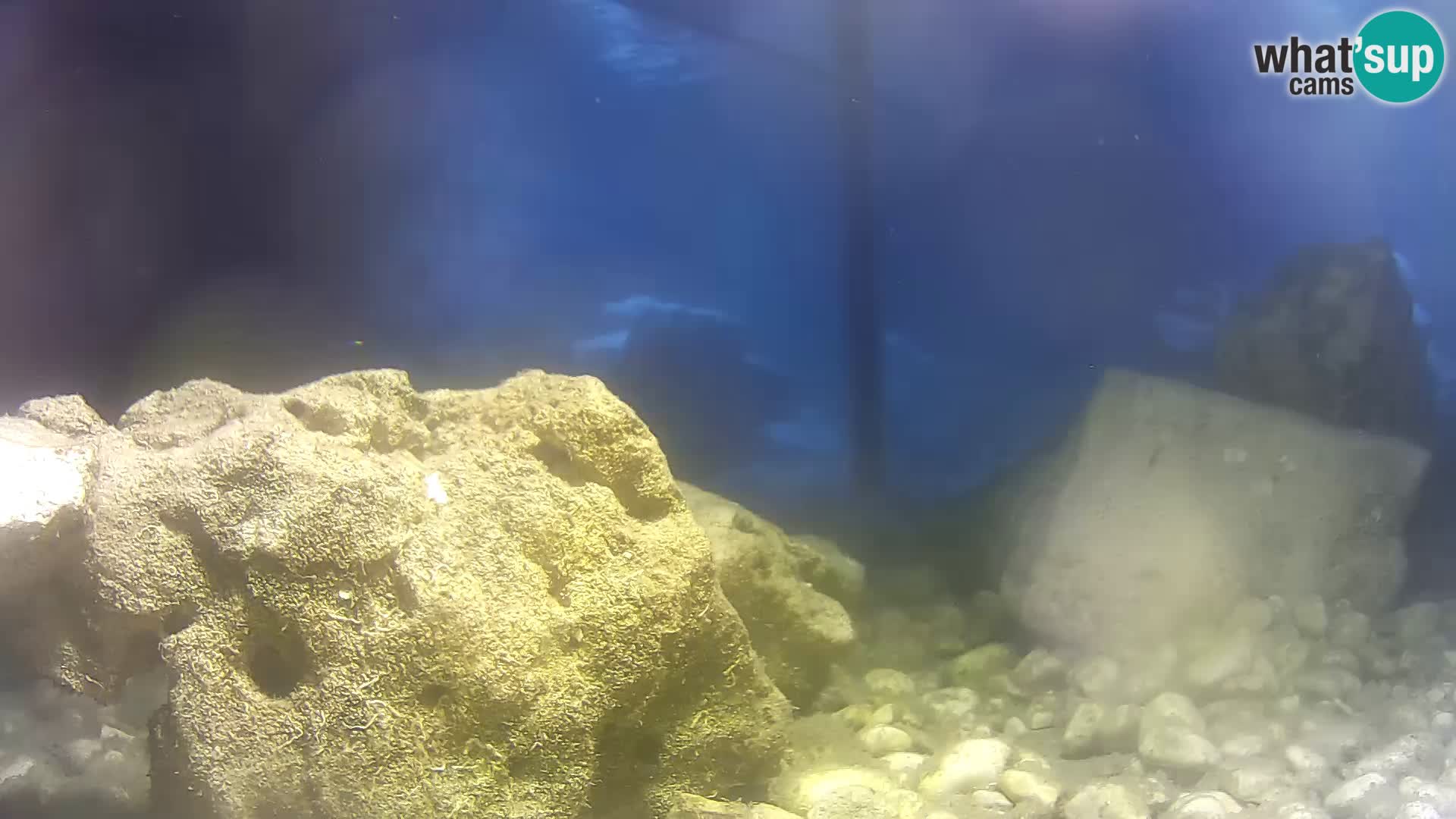 Marine Aquarium im Freien Rogoznica webcam Kroatien