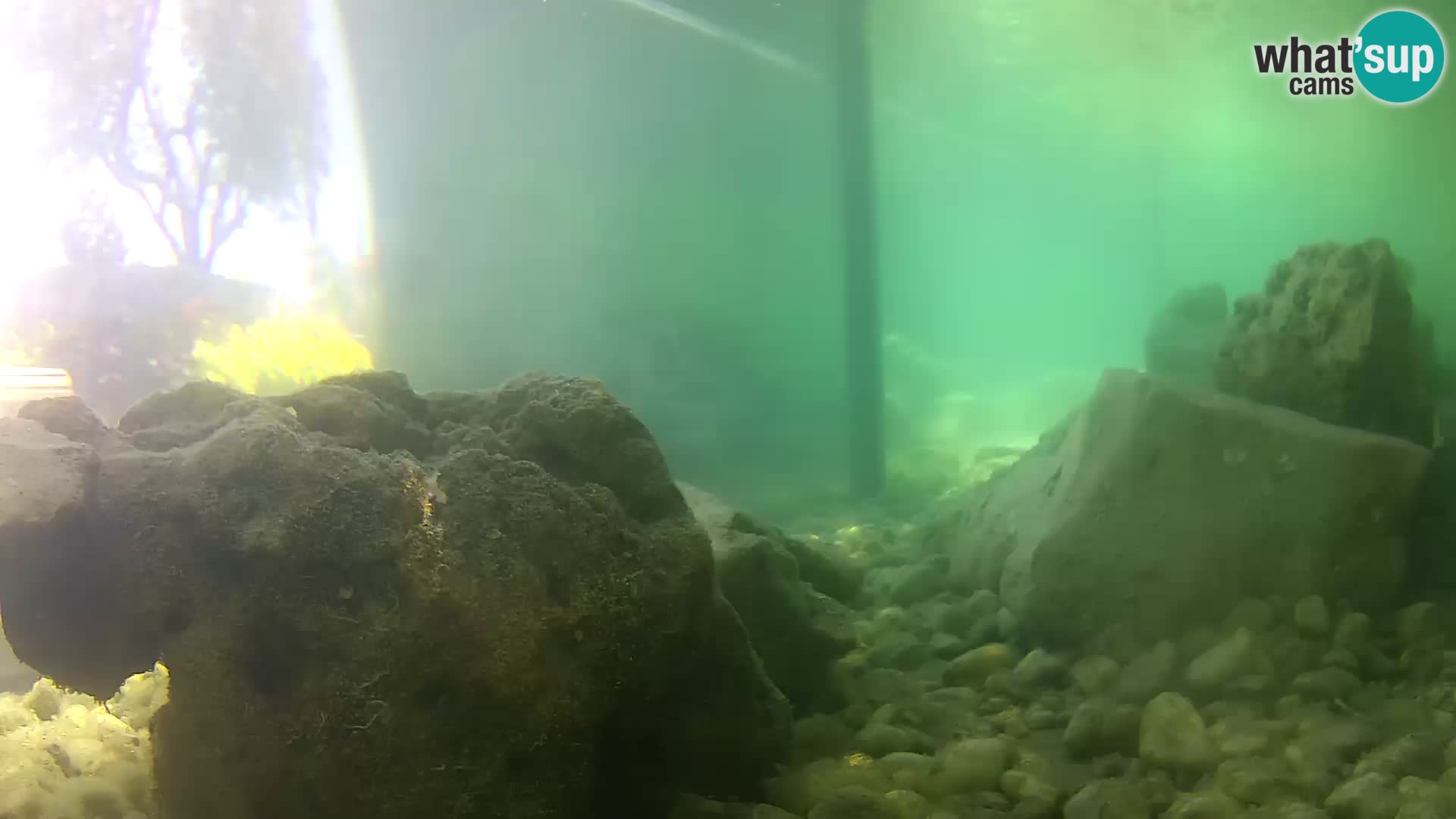 Outdoor Marine Aquarium Rogoznica webcam Croatia