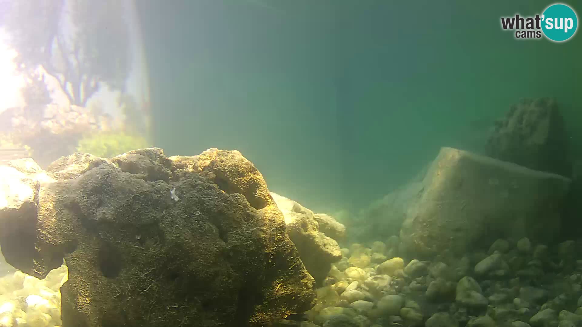 Webcam de l’aquarium marin extérieur de Rogoznica Croatie