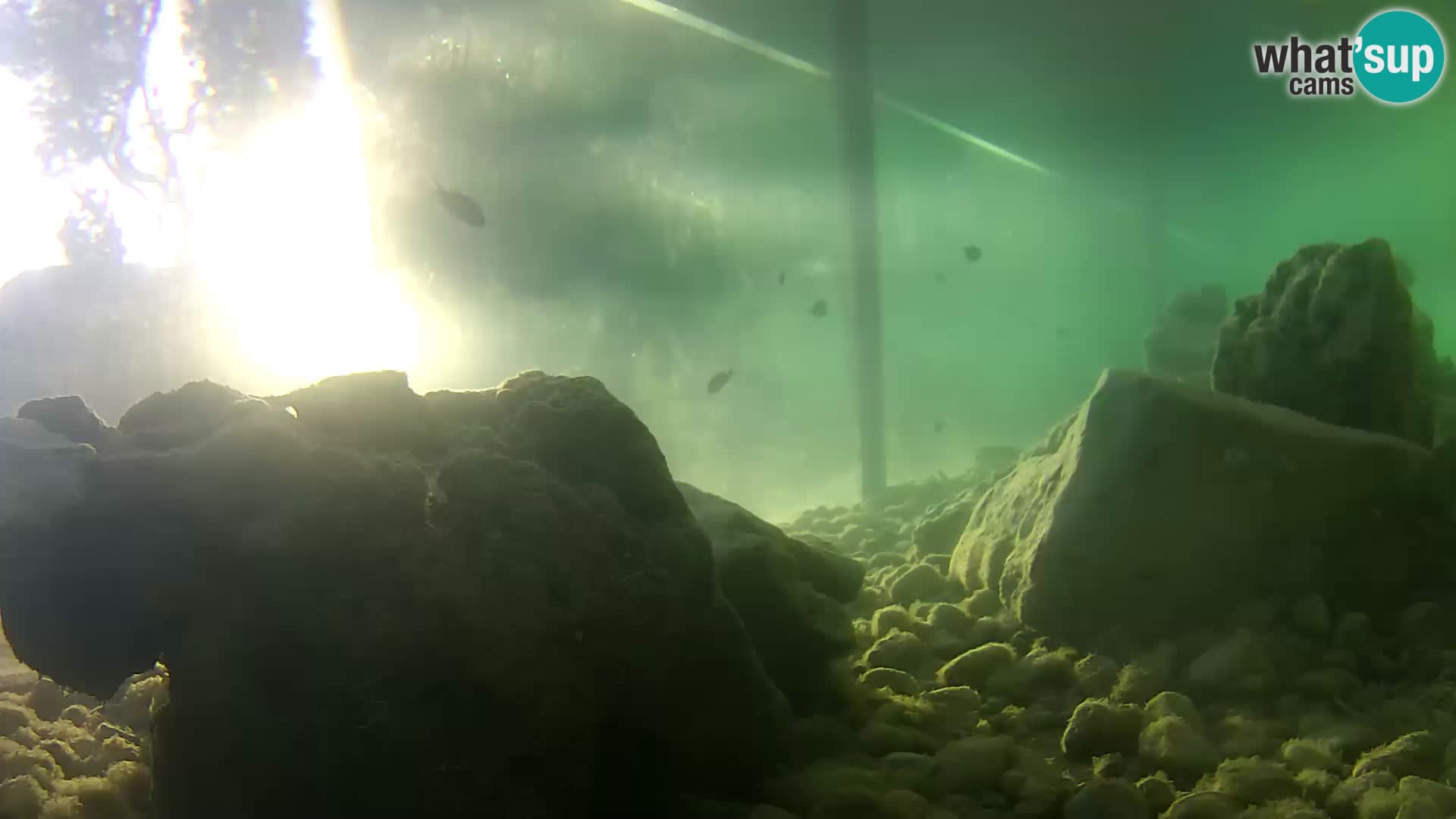 Marine Aquarium im Freien Rogoznica webcam Kroatien