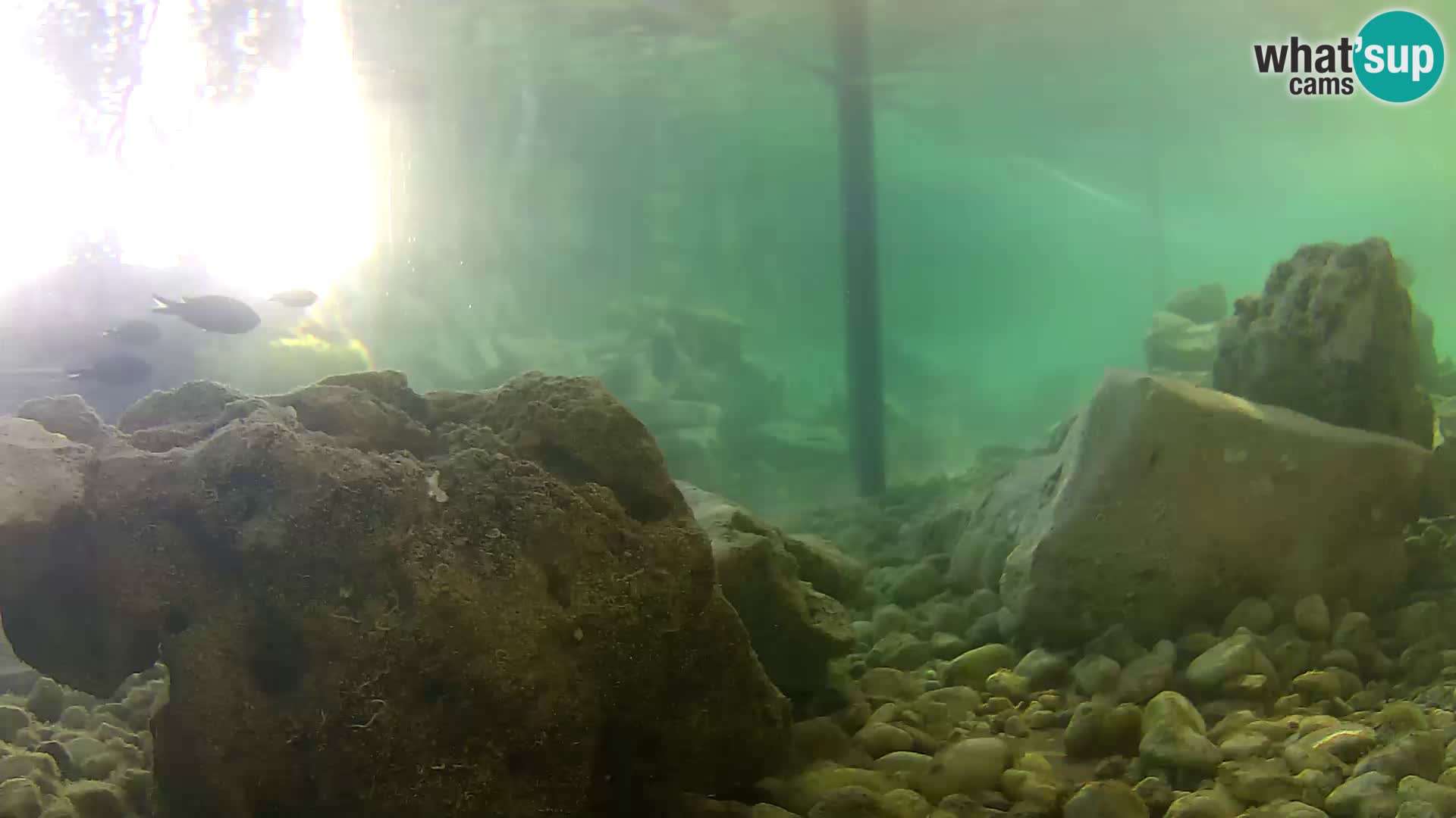 Marine Aquarium im Freien Rogoznica webcam Kroatien
