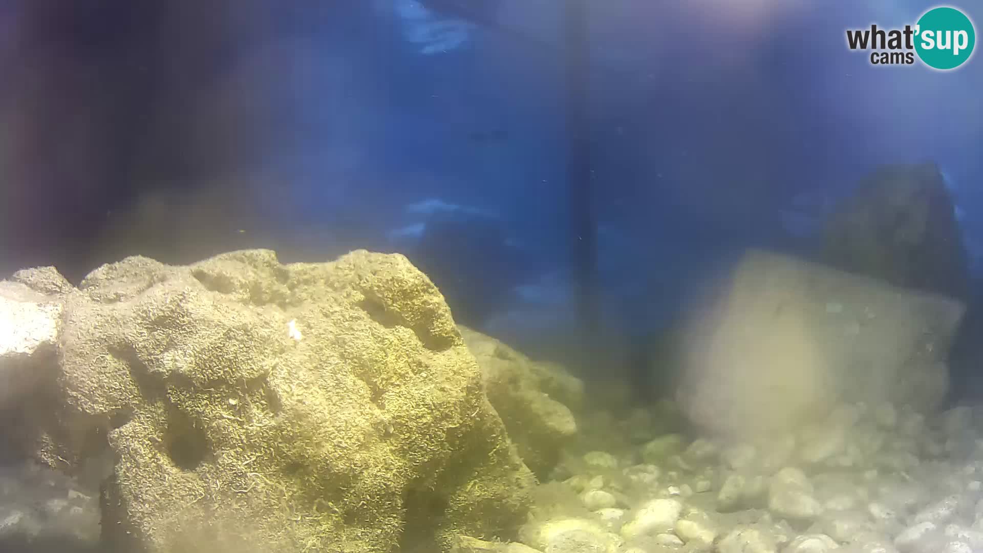 Webcam de l’aquarium marin extérieur de Rogoznica Croatie