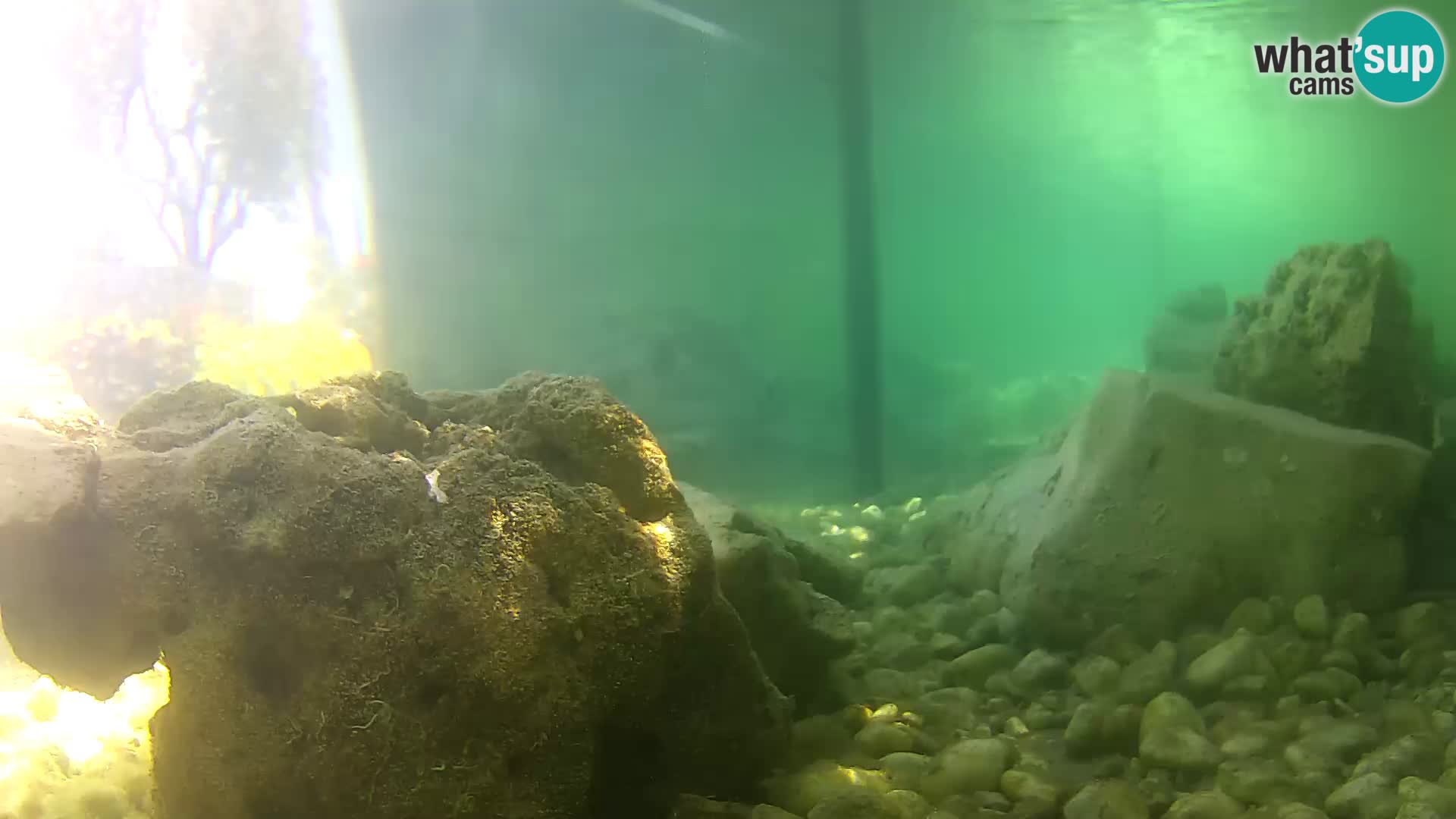 Marine Aquarium im Freien Rogoznica webcam Kroatien