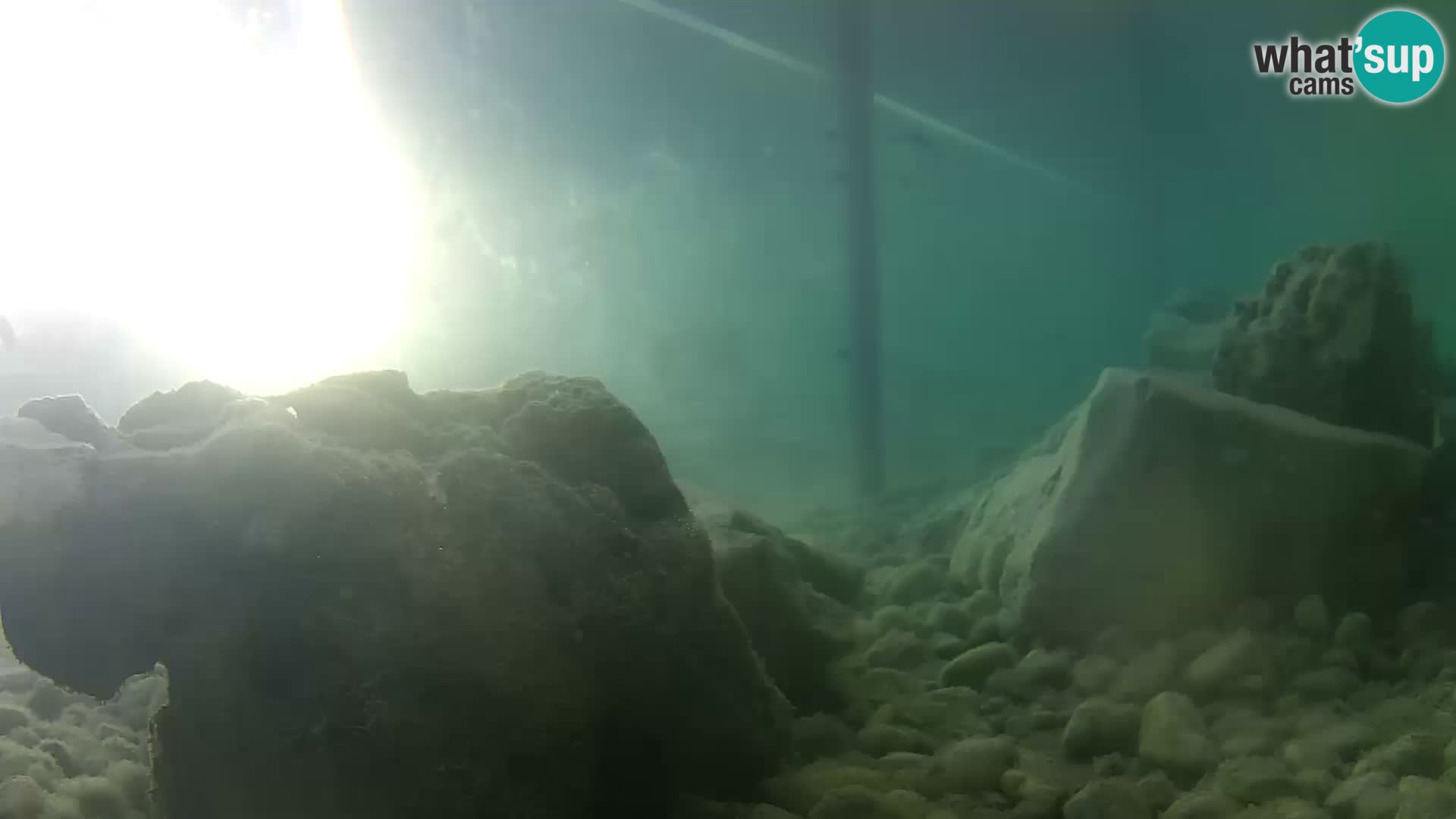 Aquario marino esterno –  Rogoznica livecam Croazia