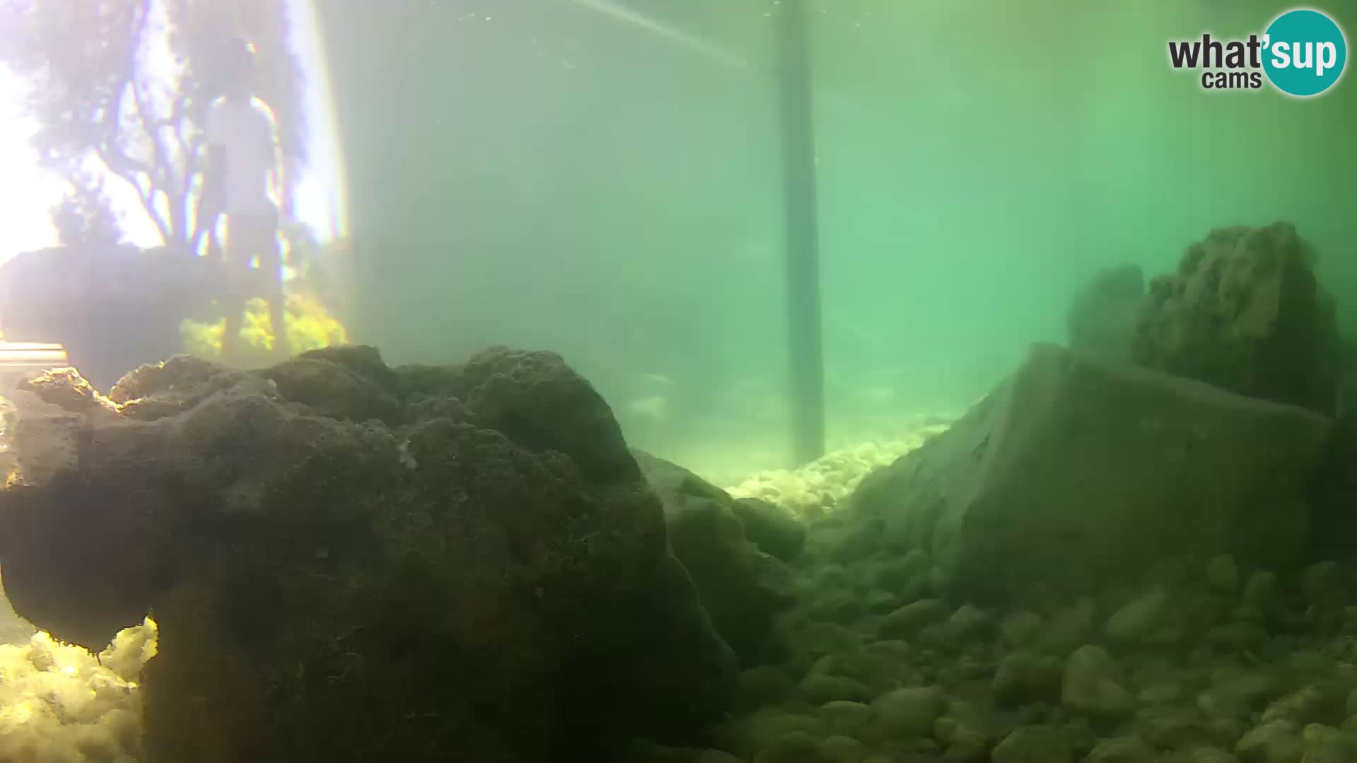 Outdoor Marine Aquarium Rogoznica webcam Croatia