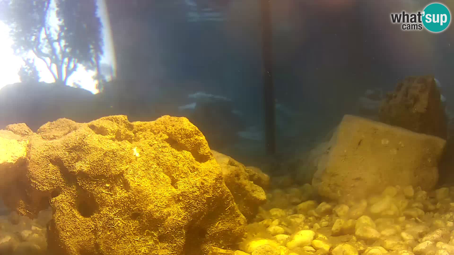 Webcam de l’aquarium marin extérieur de Rogoznica Croatie