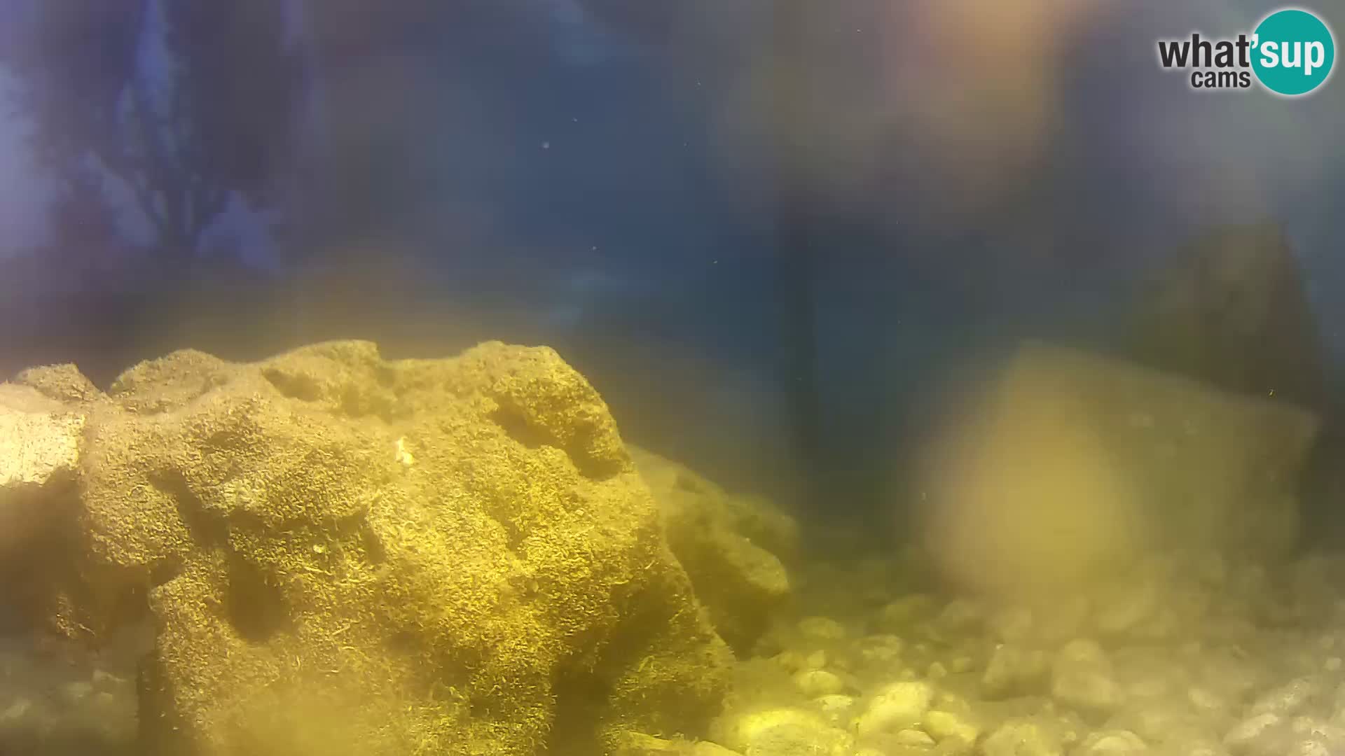 Marine Aquarium im Freien Rogoznica webcam Kroatien