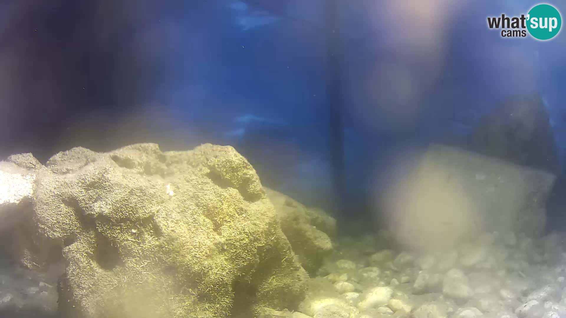 Webcam de l’aquarium marin extérieur de Rogoznica Croatie
