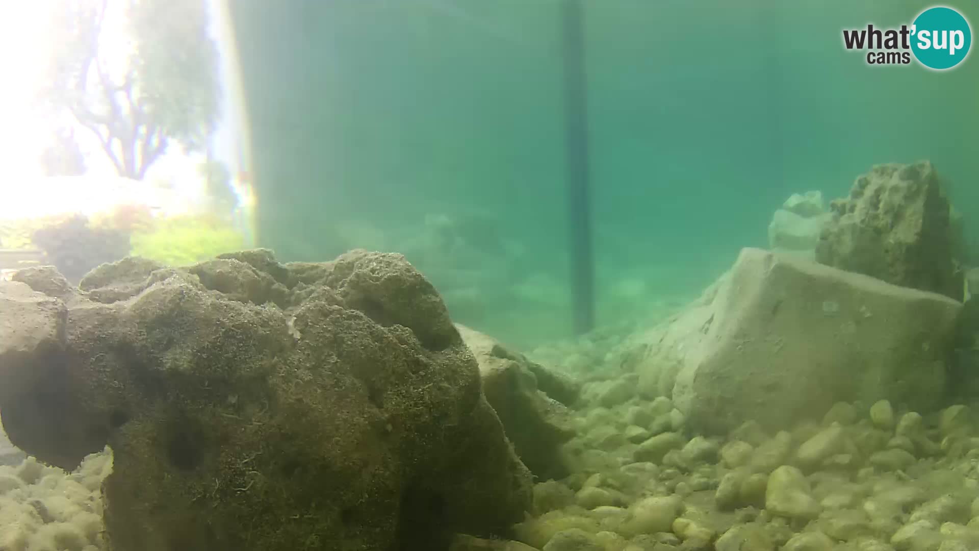 Outdoor Marine Aquarium Rogoznica webcam Croatia