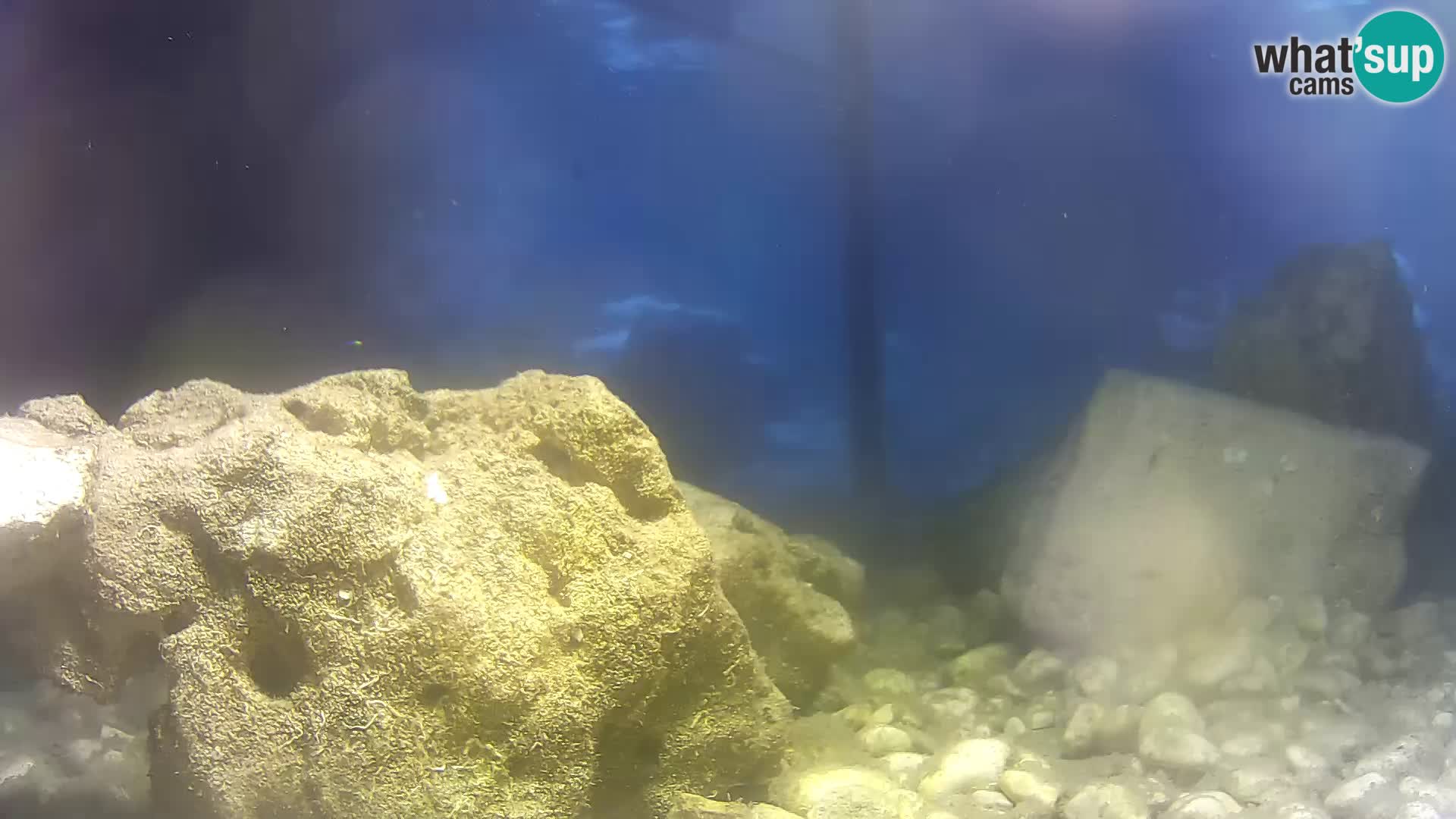 Marine Aquarium im Freien Rogoznica webcam Kroatien