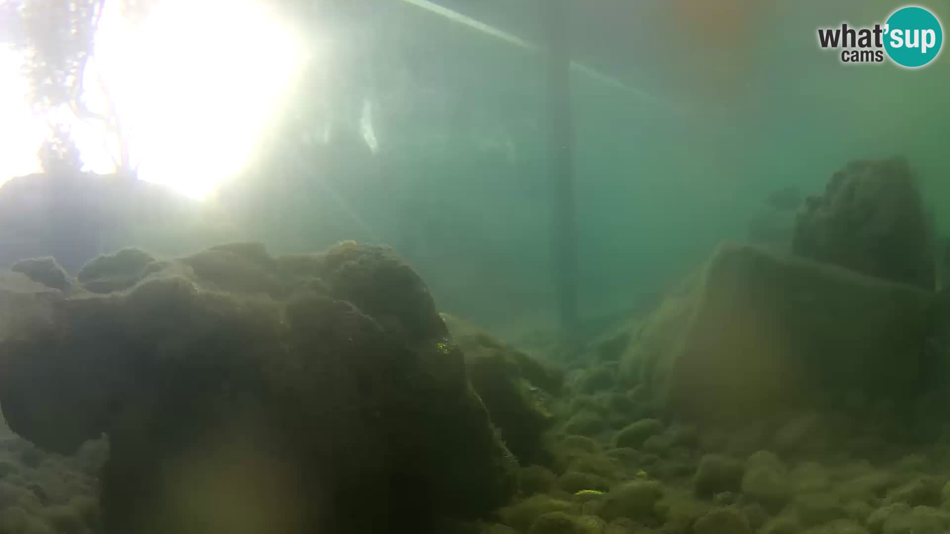 Marine Aquarium im Freien Rogoznica webcam Kroatien