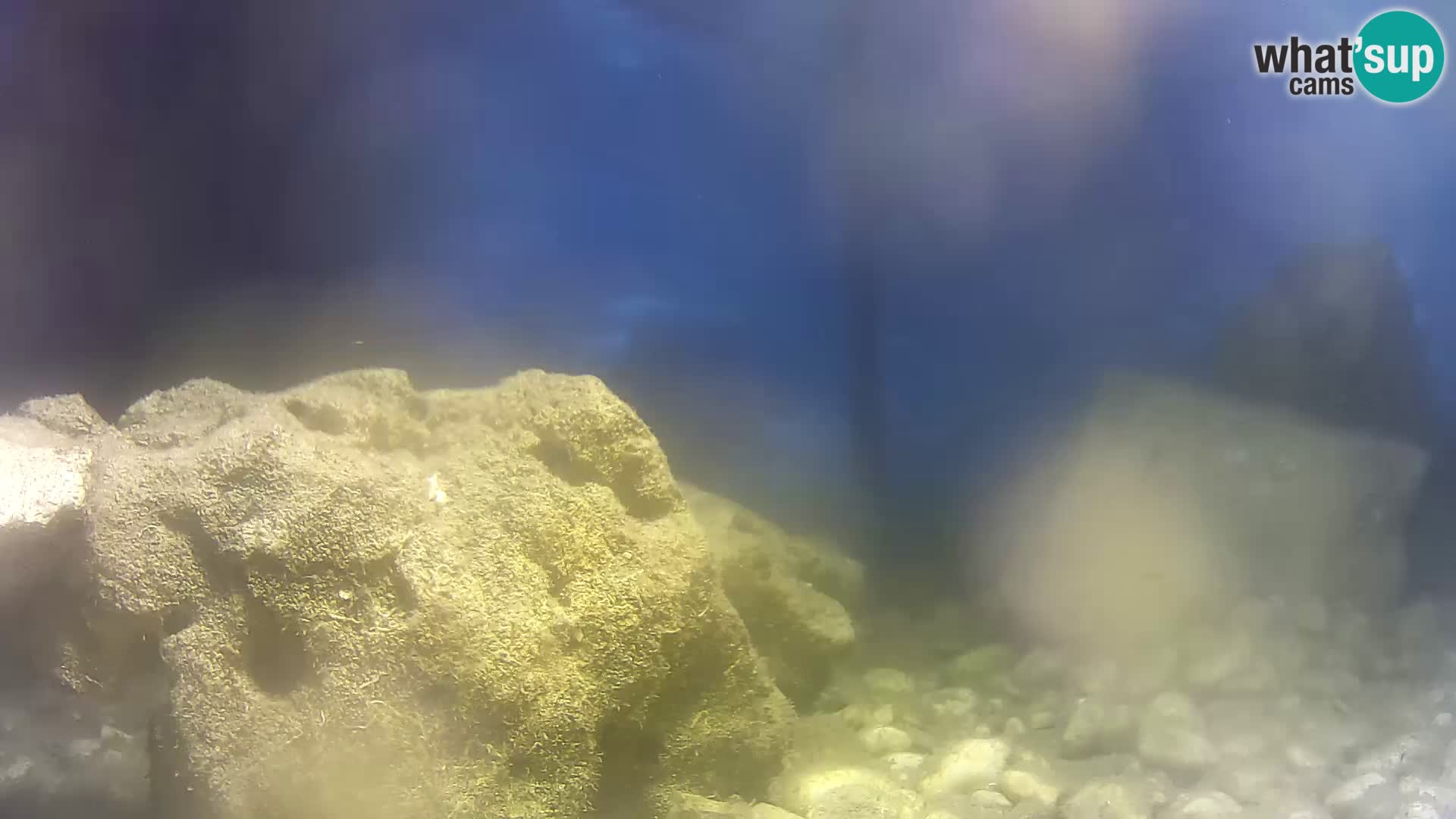 Marine Aquarium im Freien Rogoznica webcam Kroatien