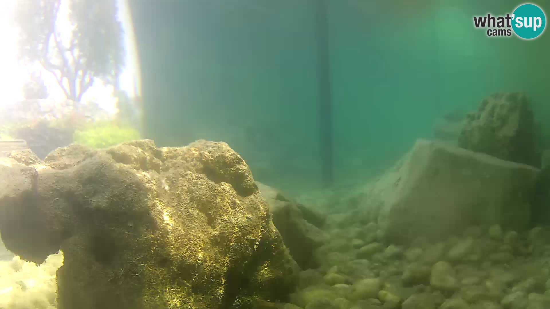 Webcam de l’aquarium marin extérieur de Rogoznica Croatie